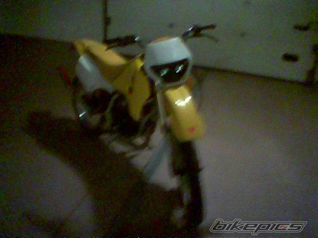Photo 164007