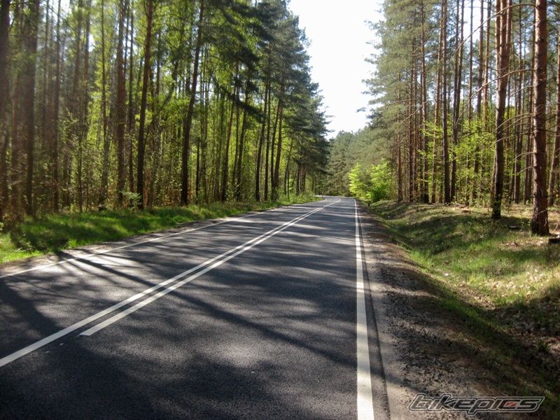 Photo 1640072