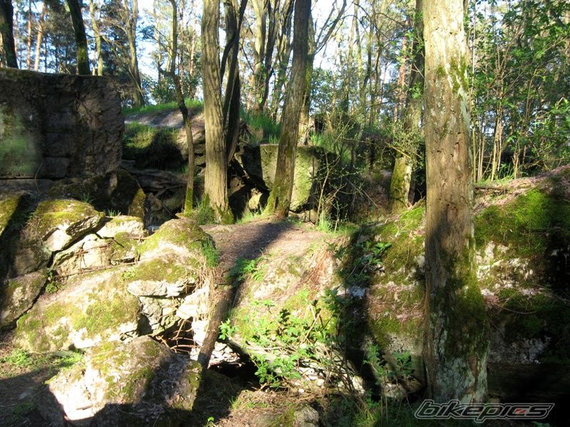 Photo 1640139