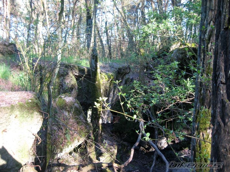 Photo 1640142