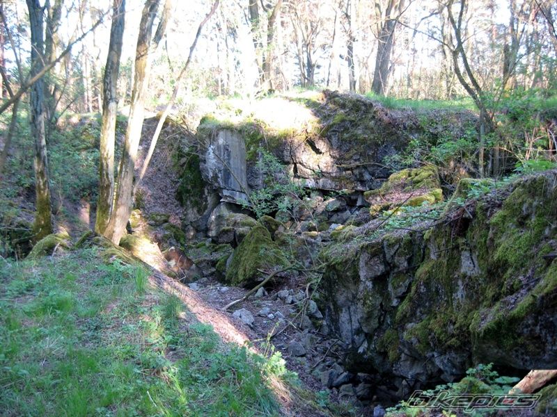 Photo 1640151