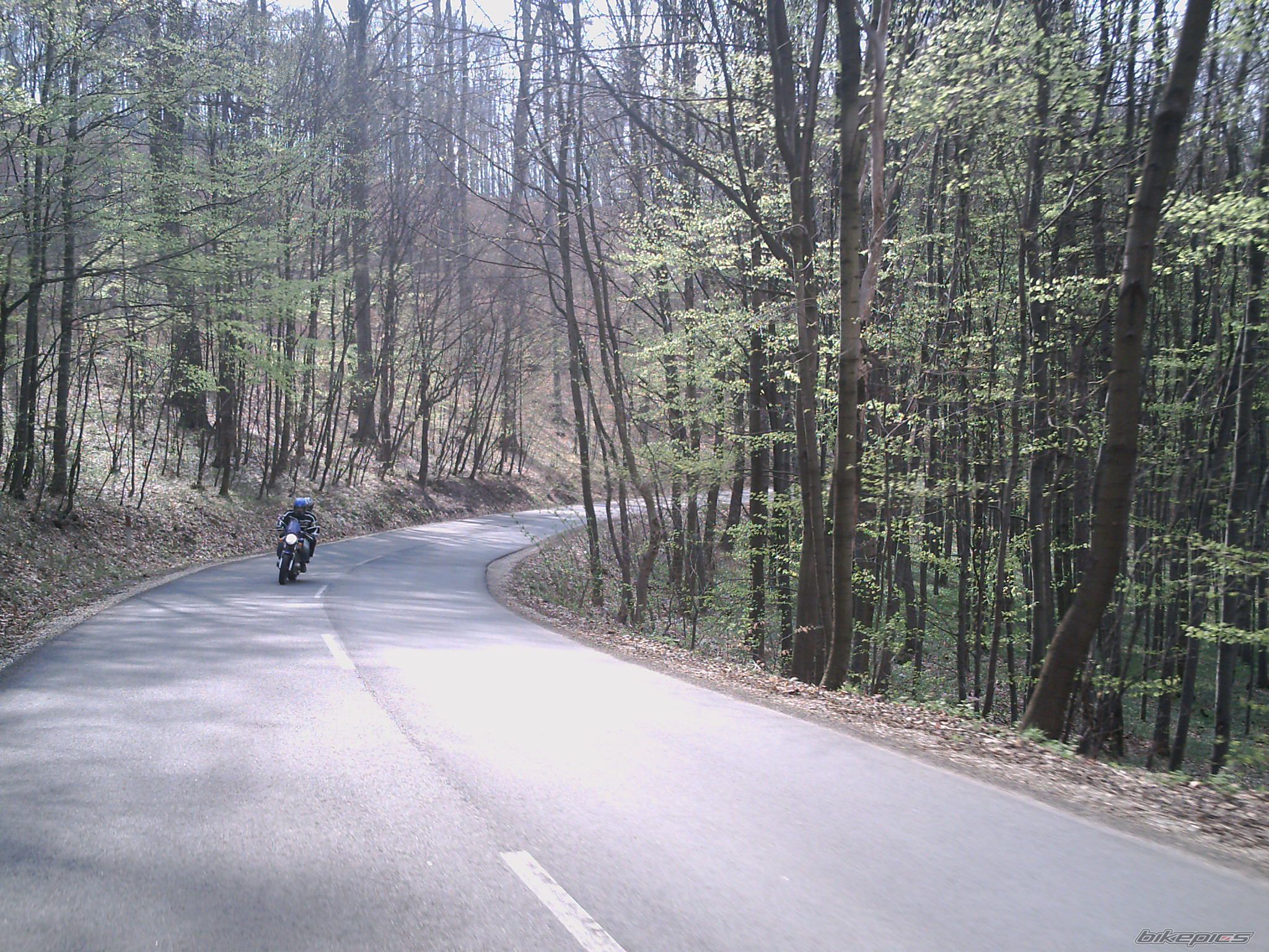 Bike Photo 1640206