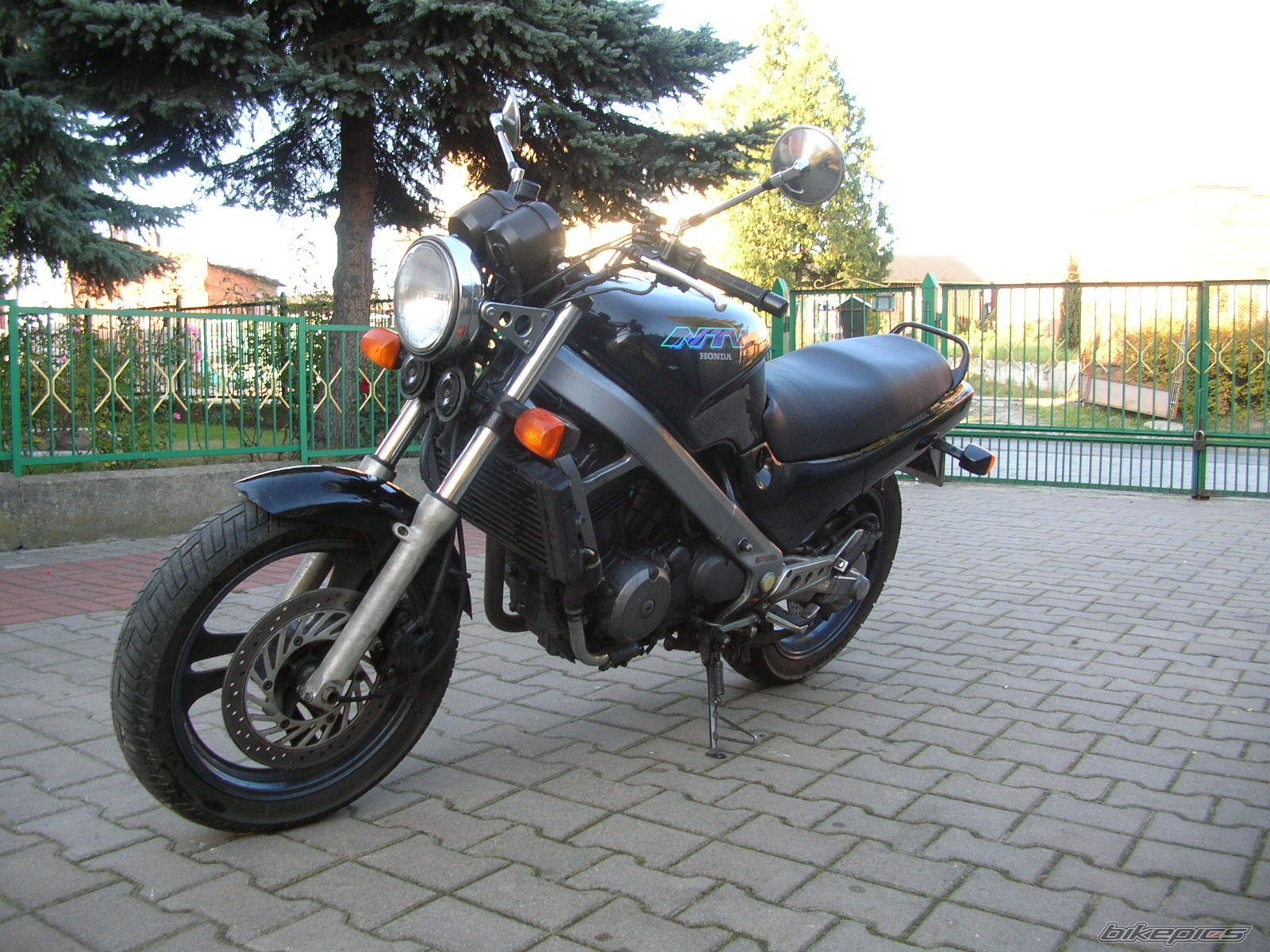 Photo 1640241