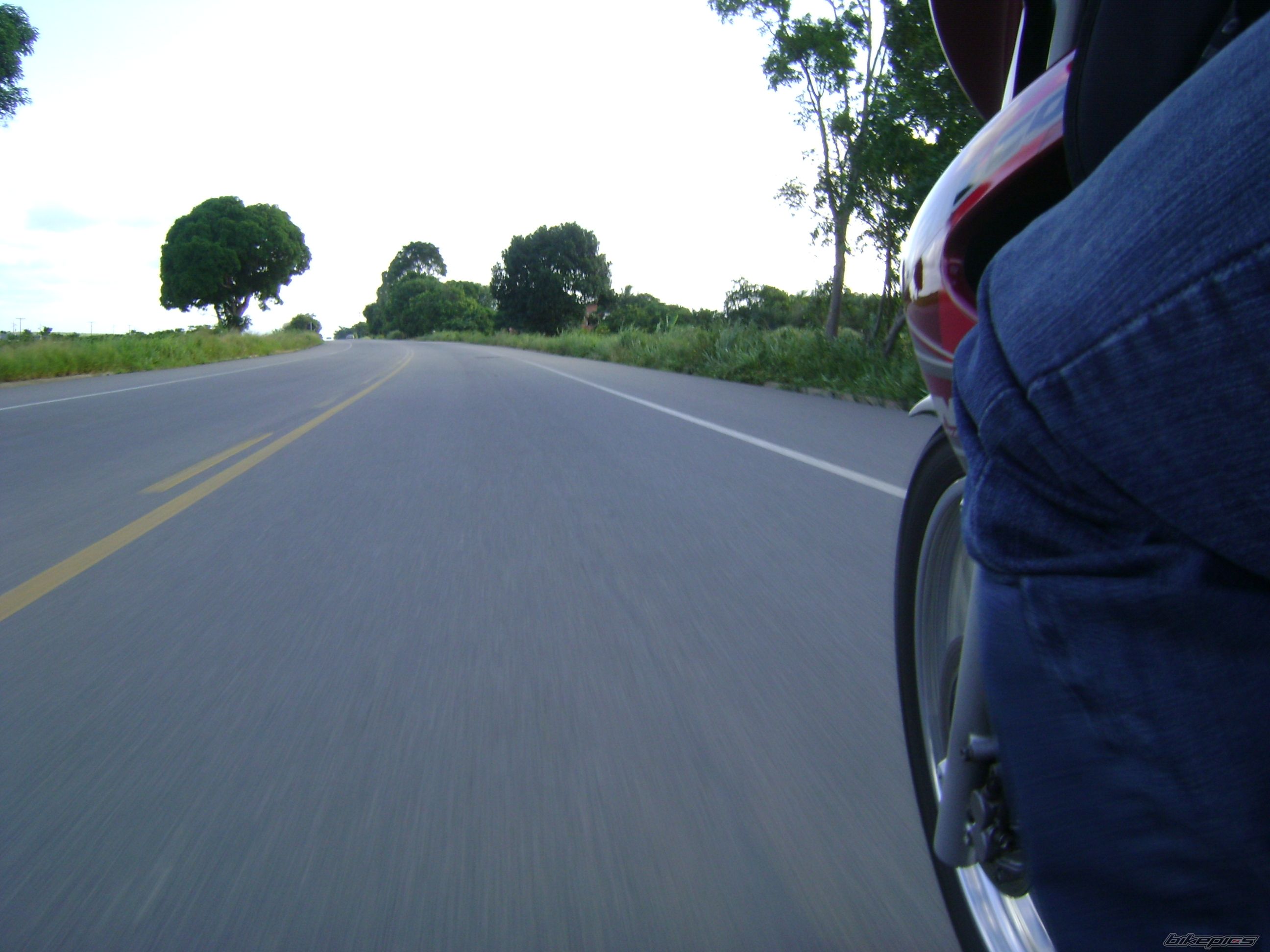 Photo 1640379