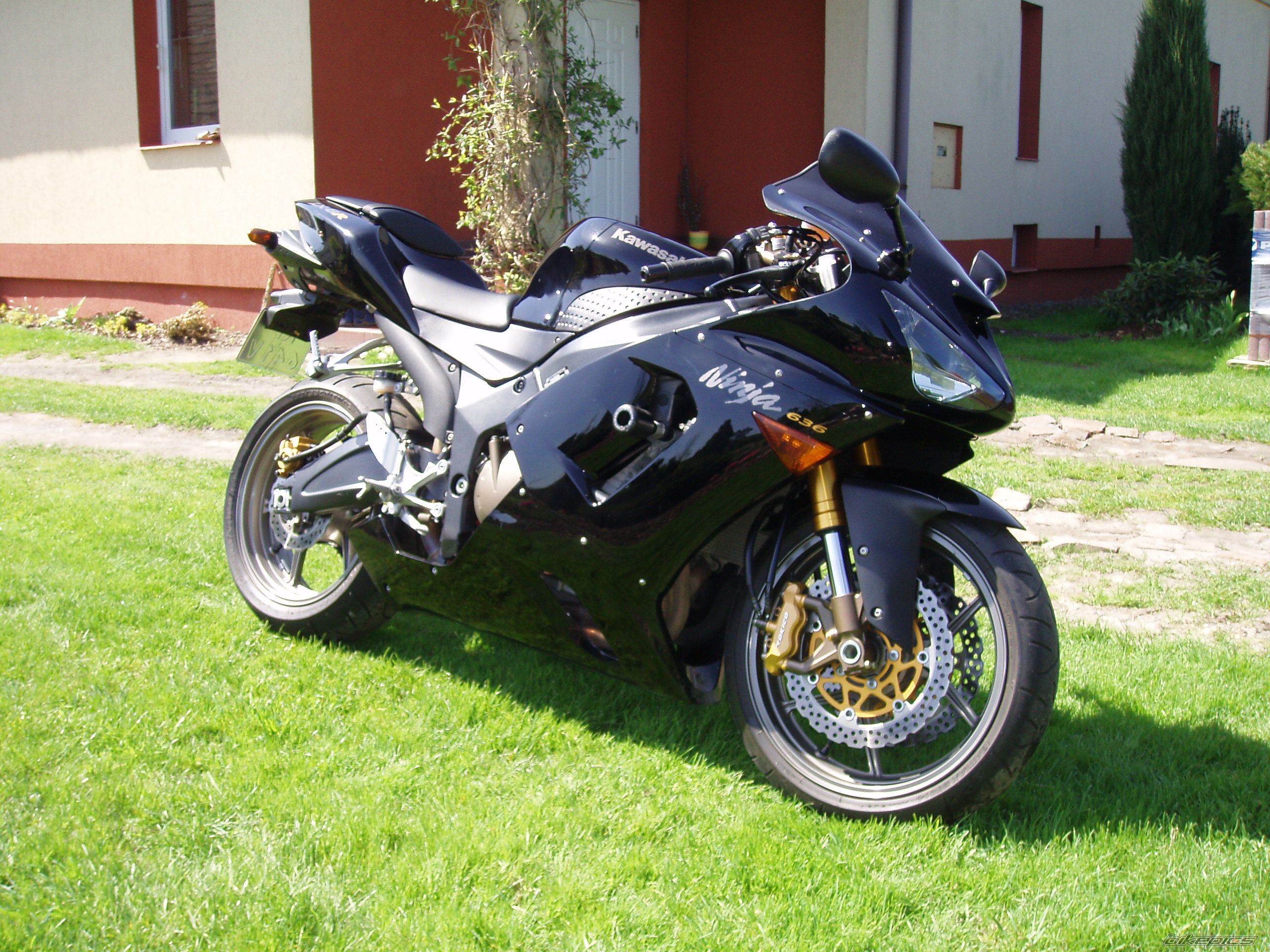 Photo 1641093
