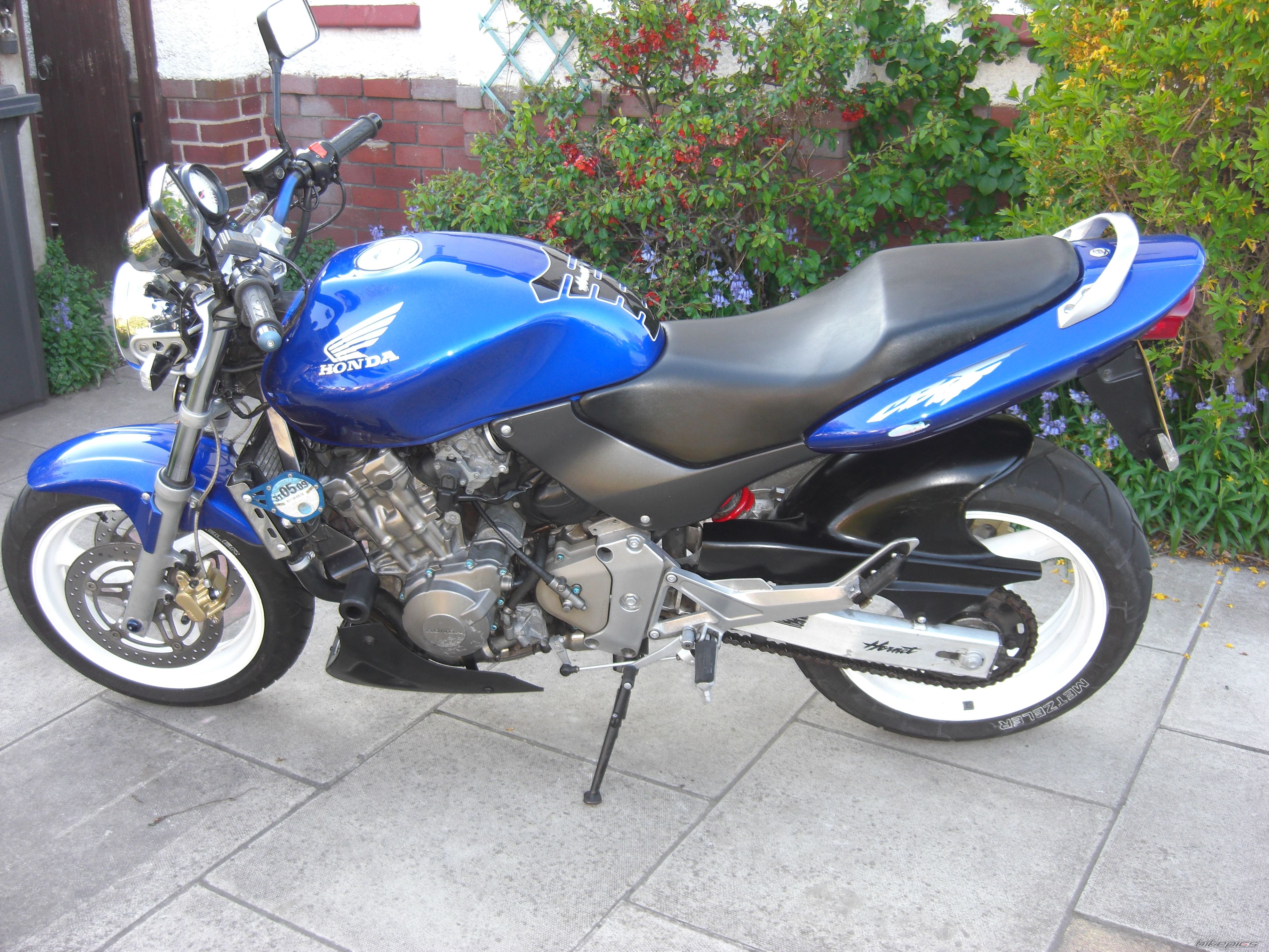 Photo 1641224