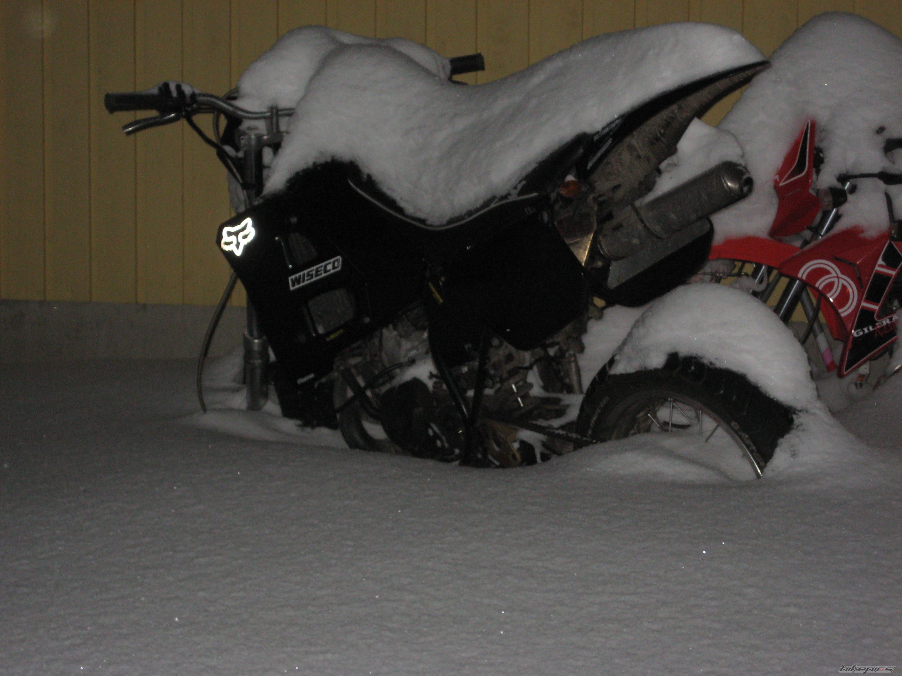 Photo 1641236