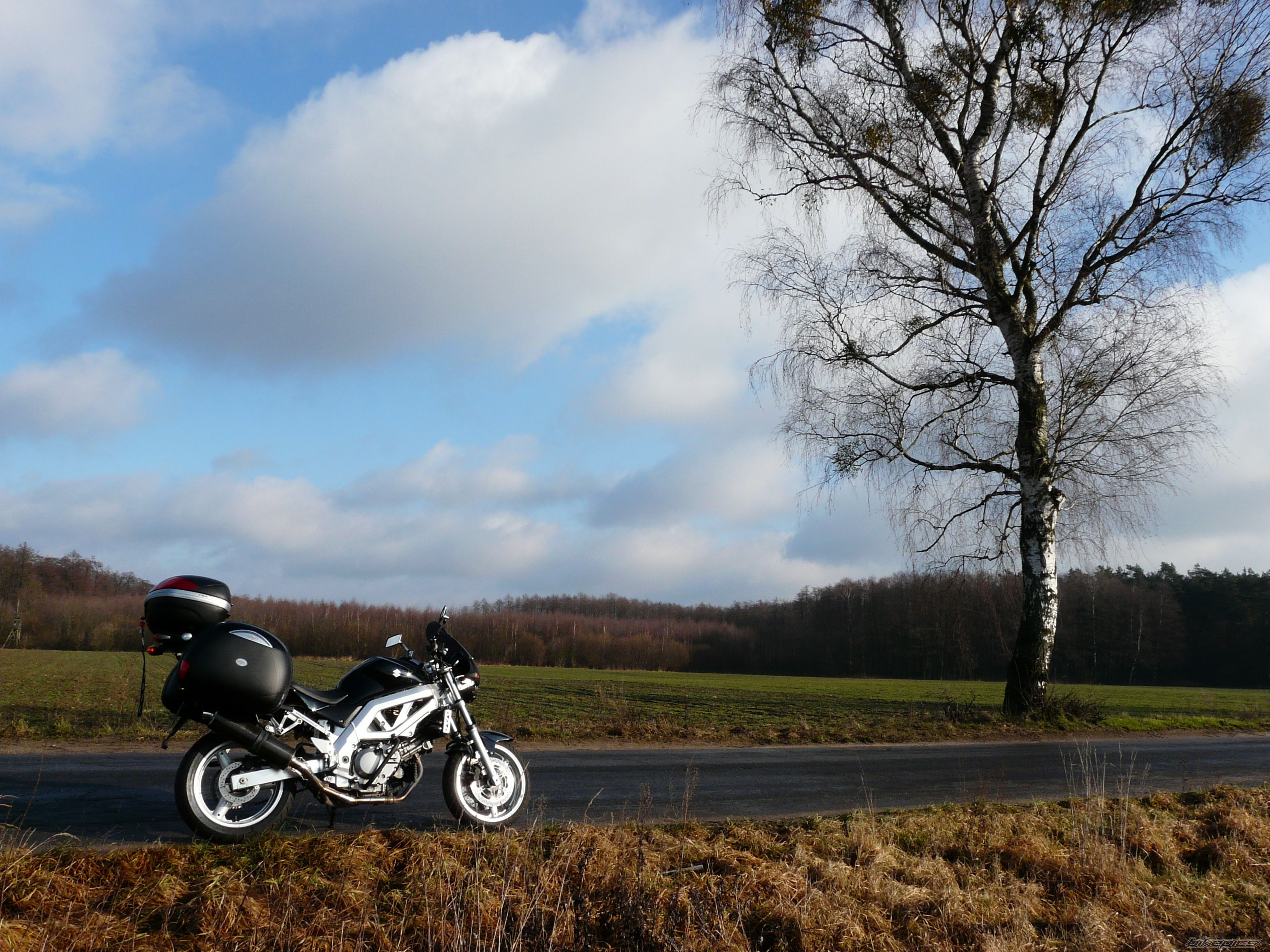 Photo 1641262