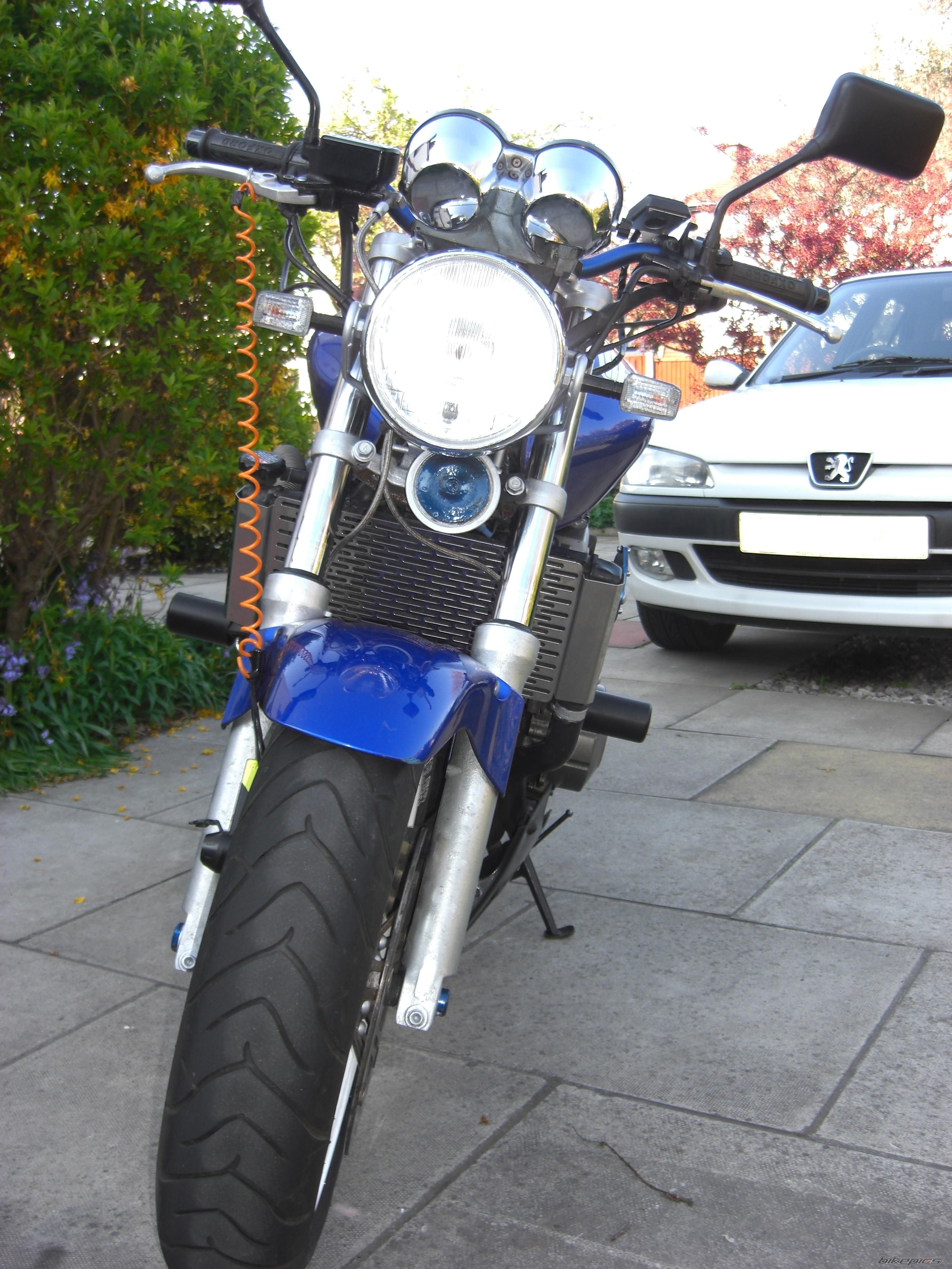Photo 1641273