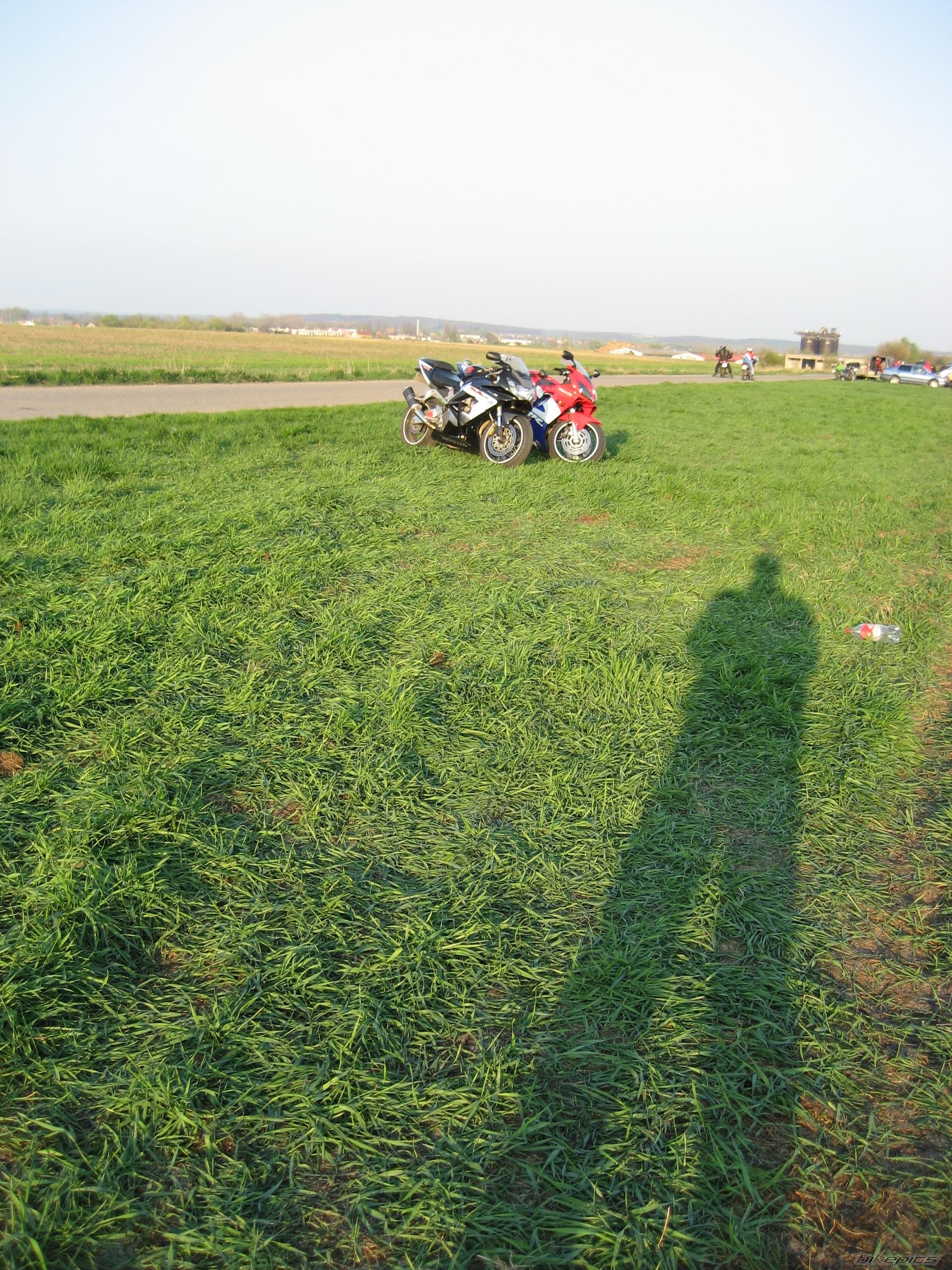Photo 1641302