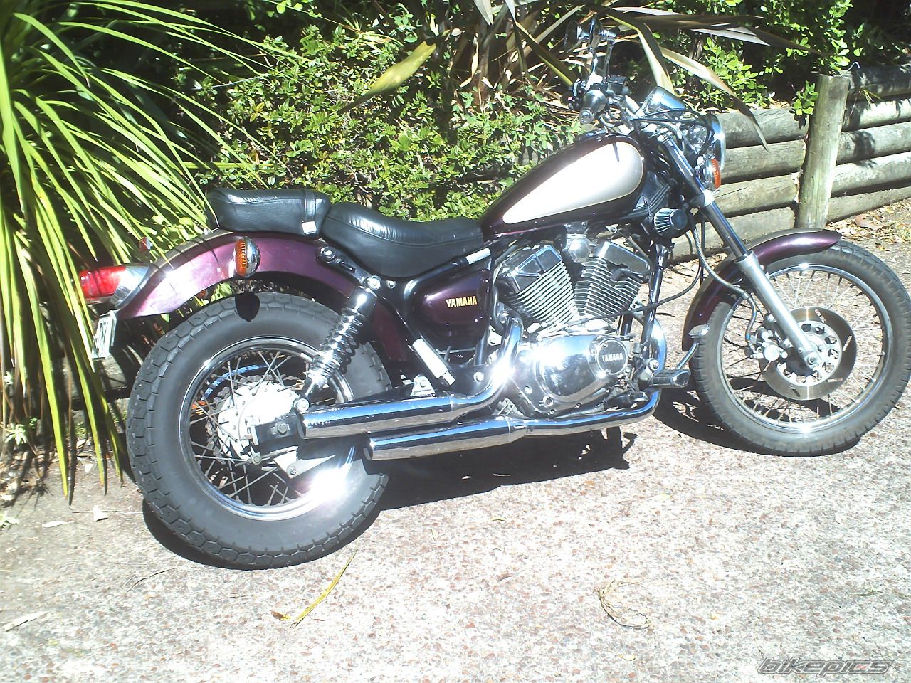 Photo 1641342