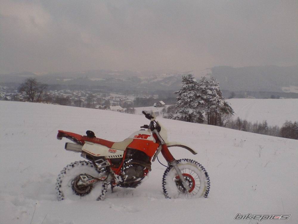 Photo 1641392