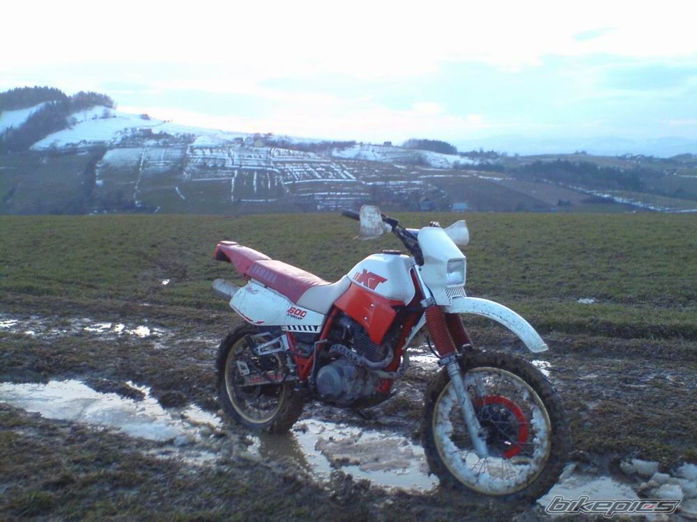 Bike Photo 1641393