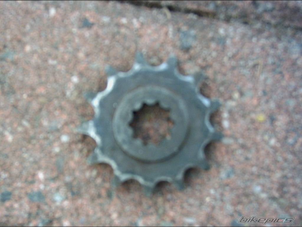 Photo 164141