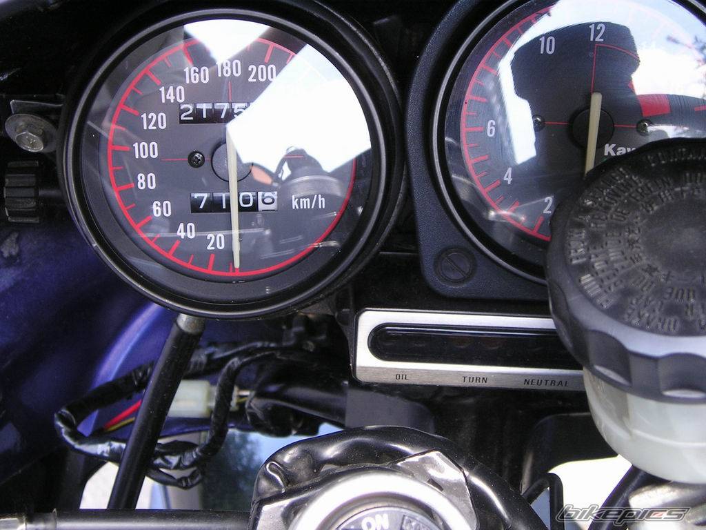 Photo 164159