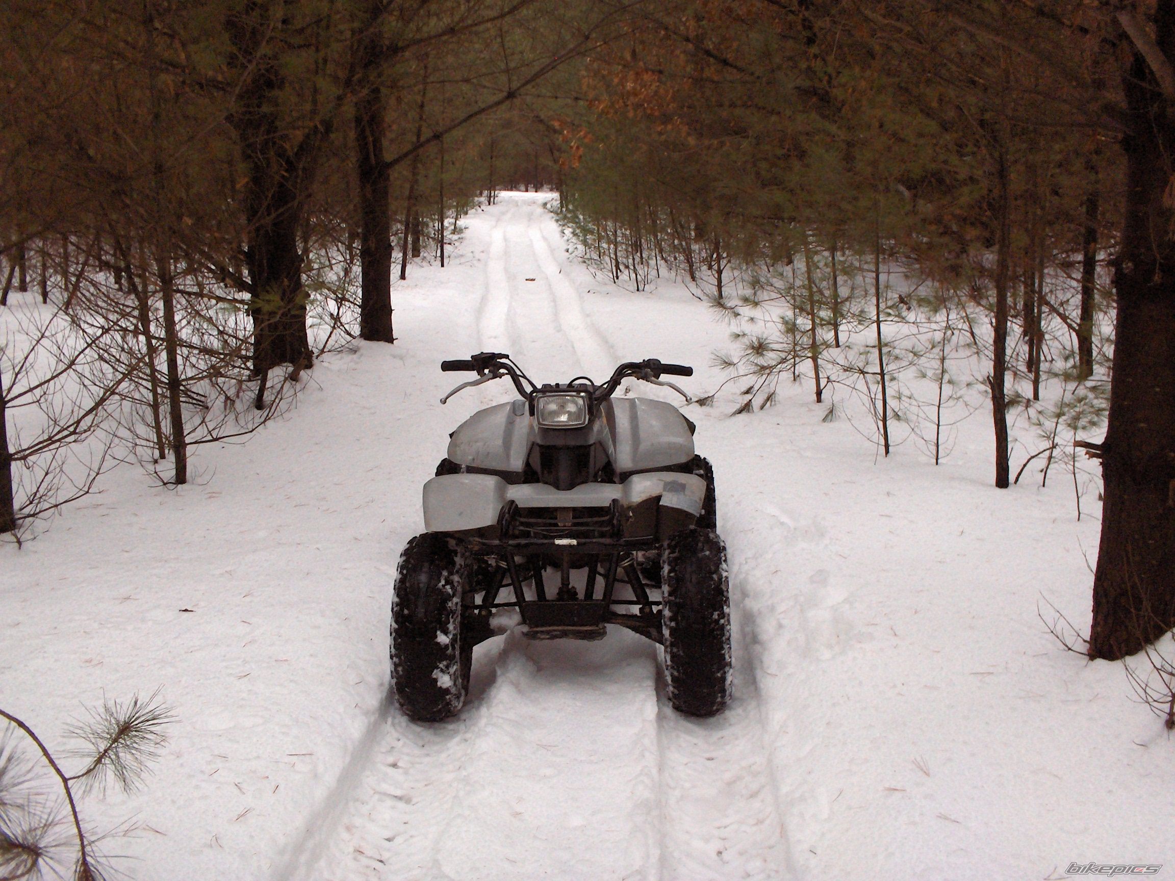 Photo 1641614