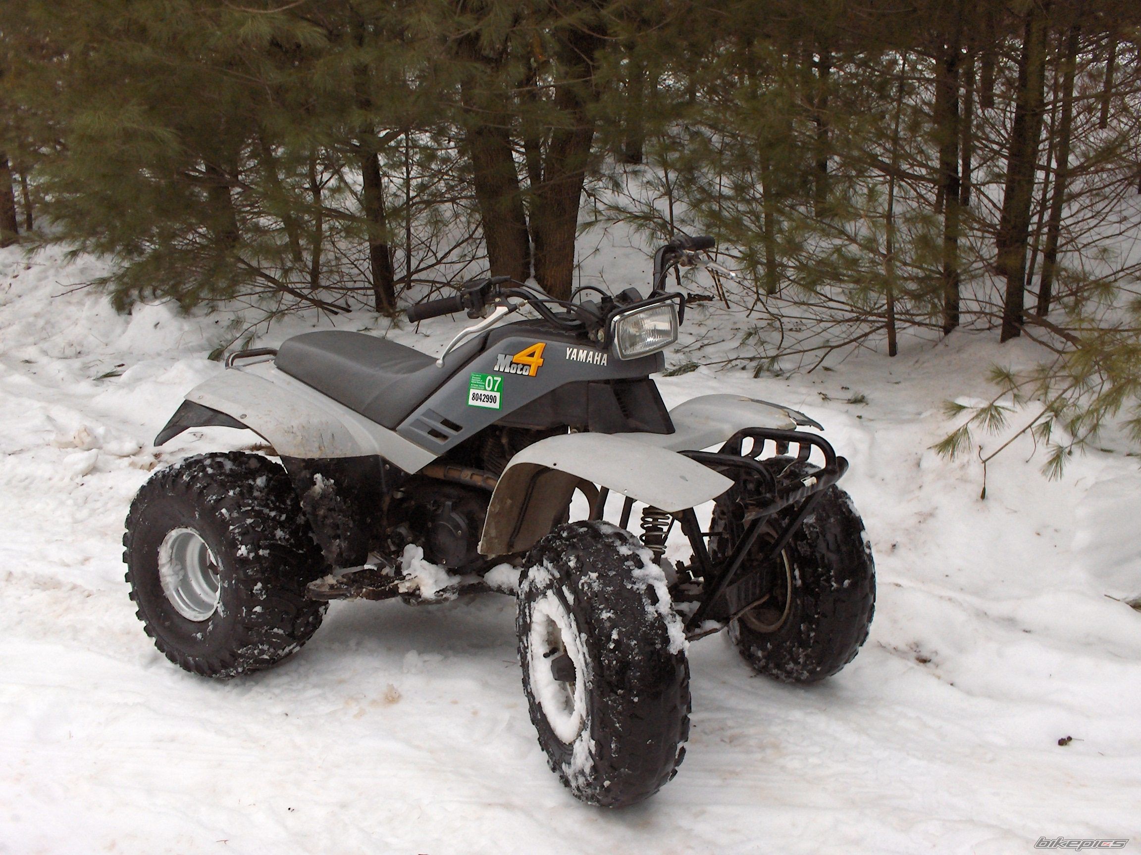 Photo 1641616