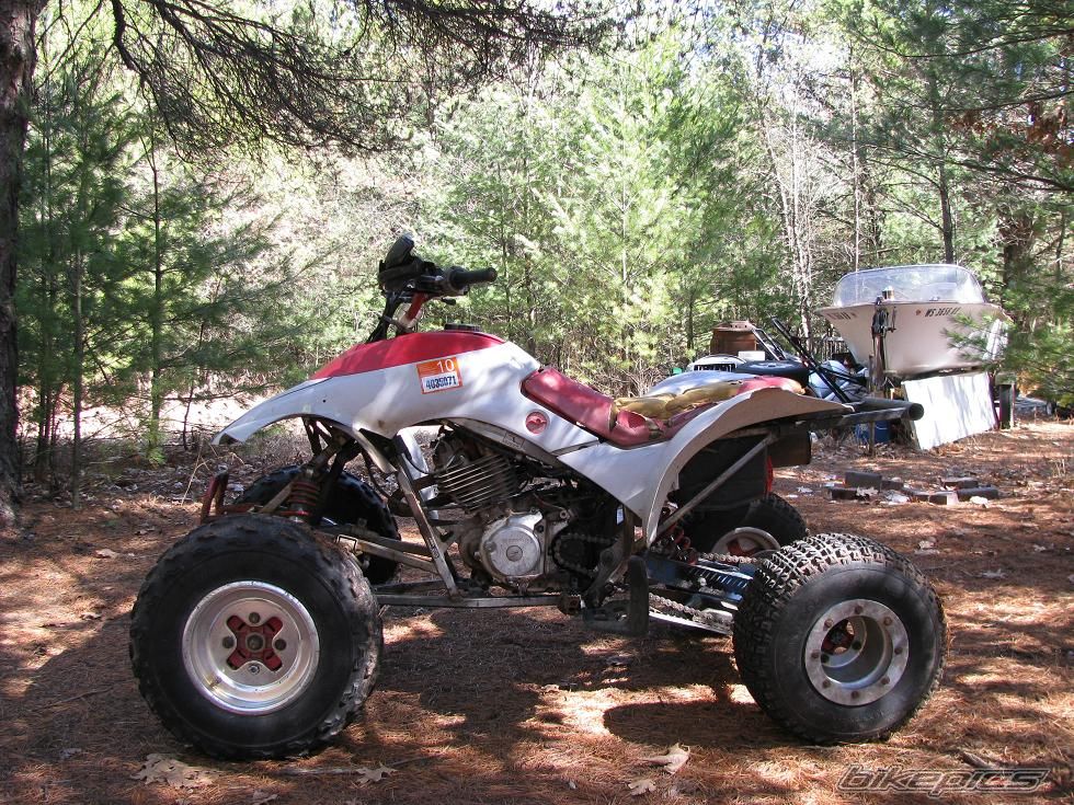 Bike Photo 1641621