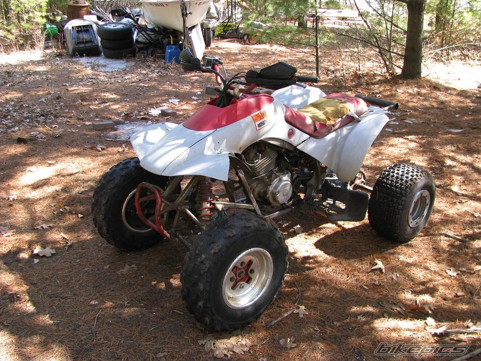 Bike Photo 1641628