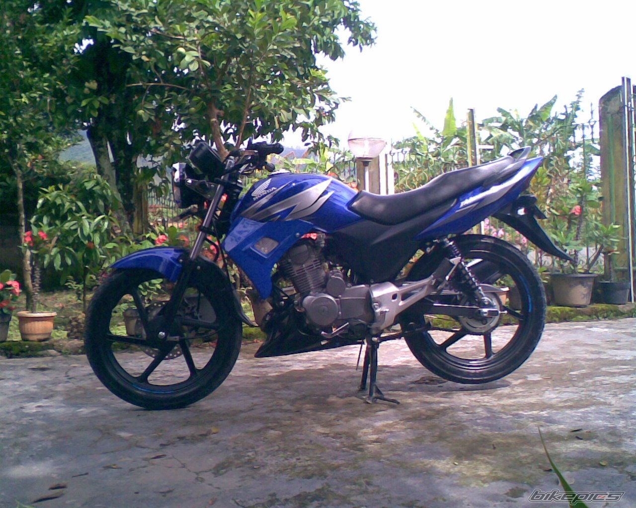 Photo 1641688