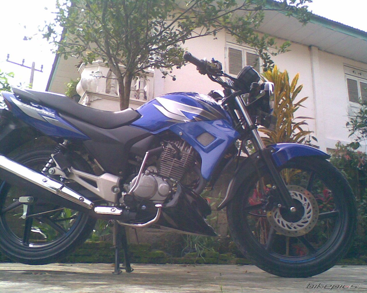 Photo 1641696