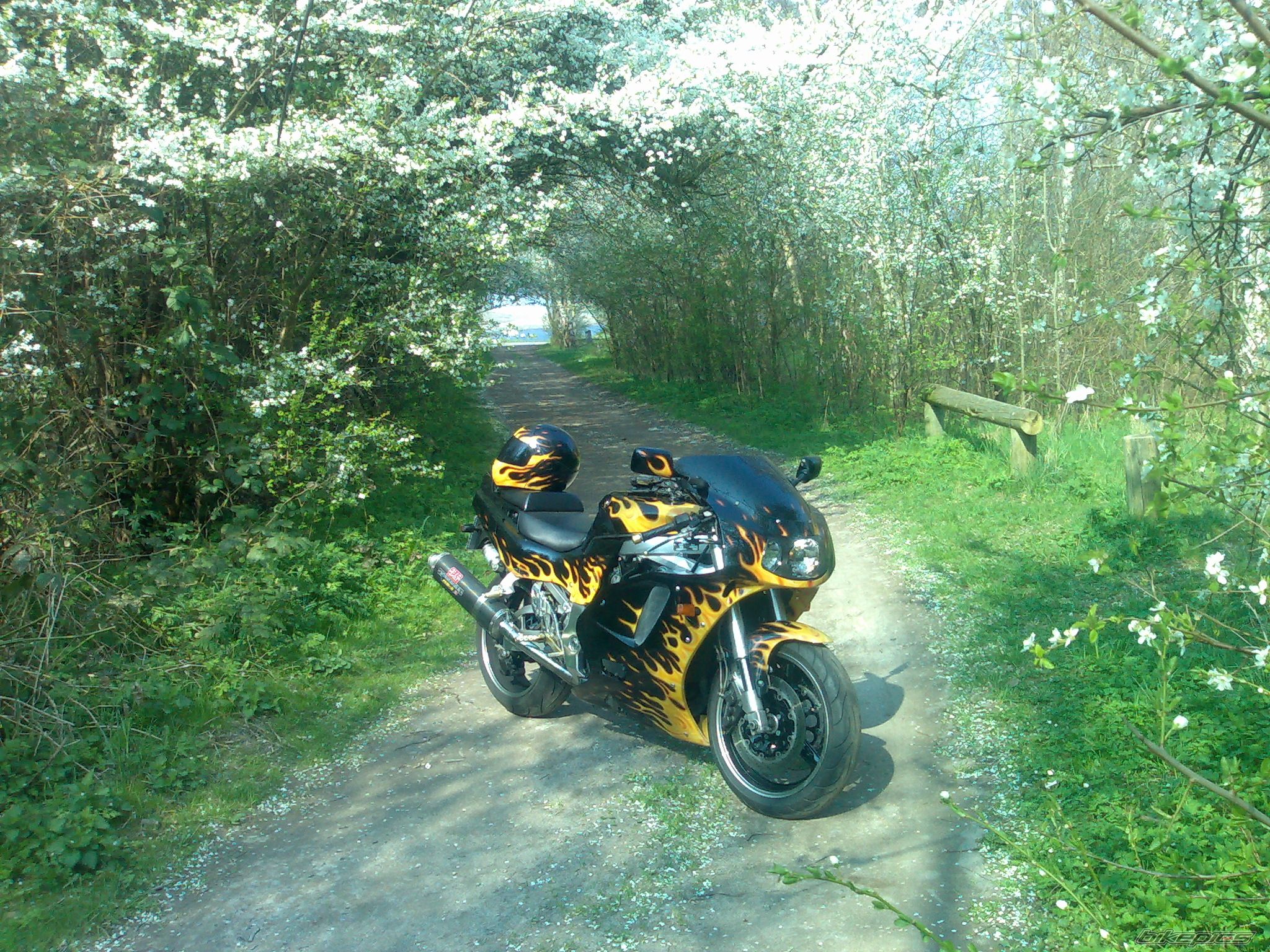 Bike Photo 1641735