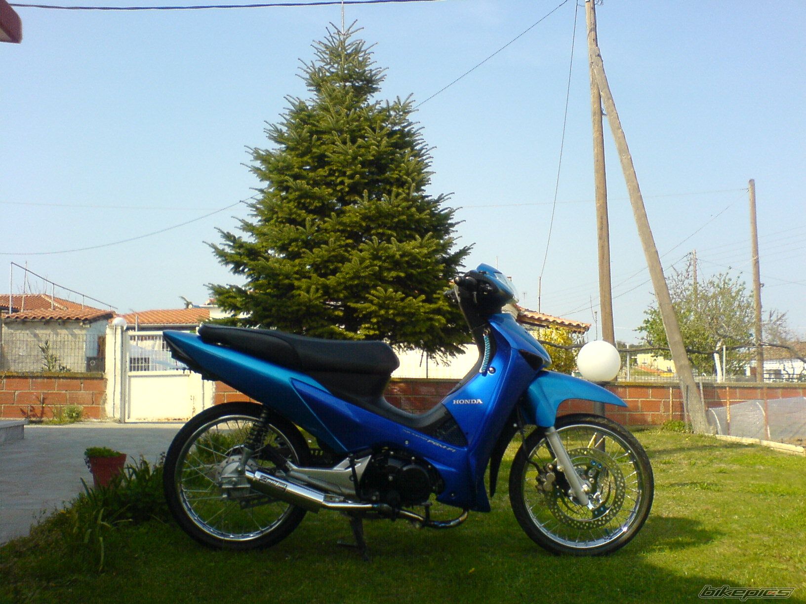 Photo 1641835