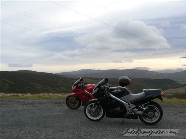 Photo 1641904
