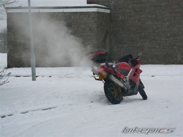 Photo 1641909
