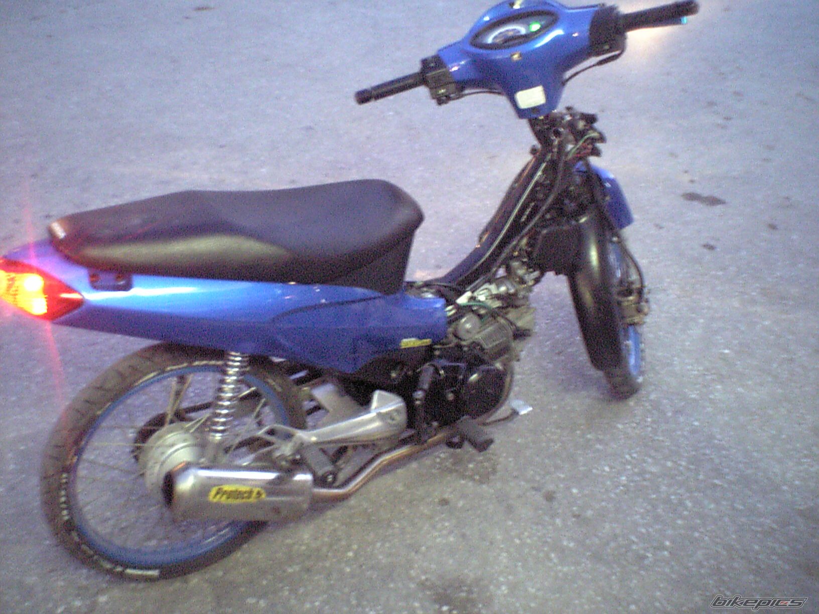 Photo 1641916