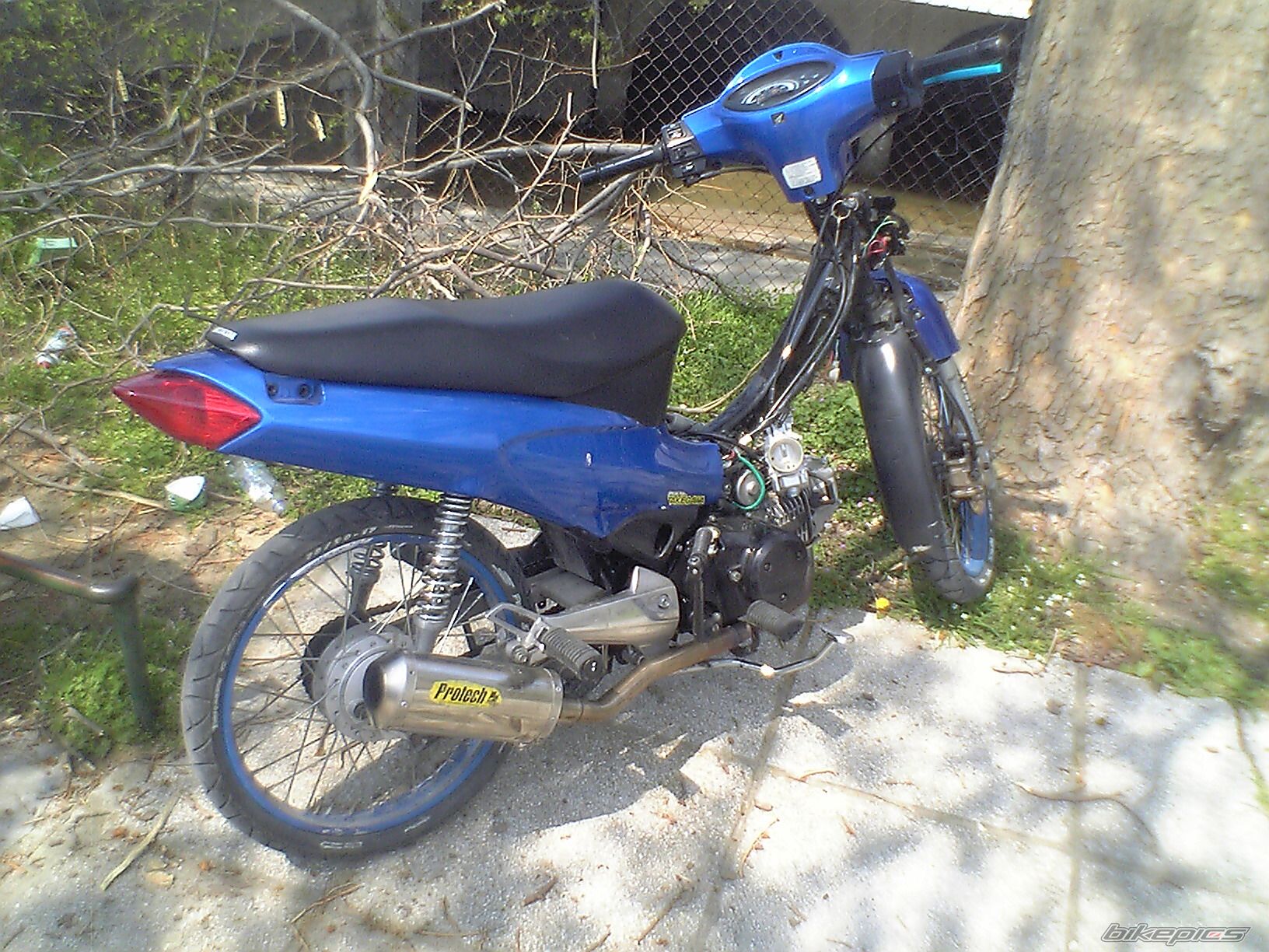 Photo 1641922