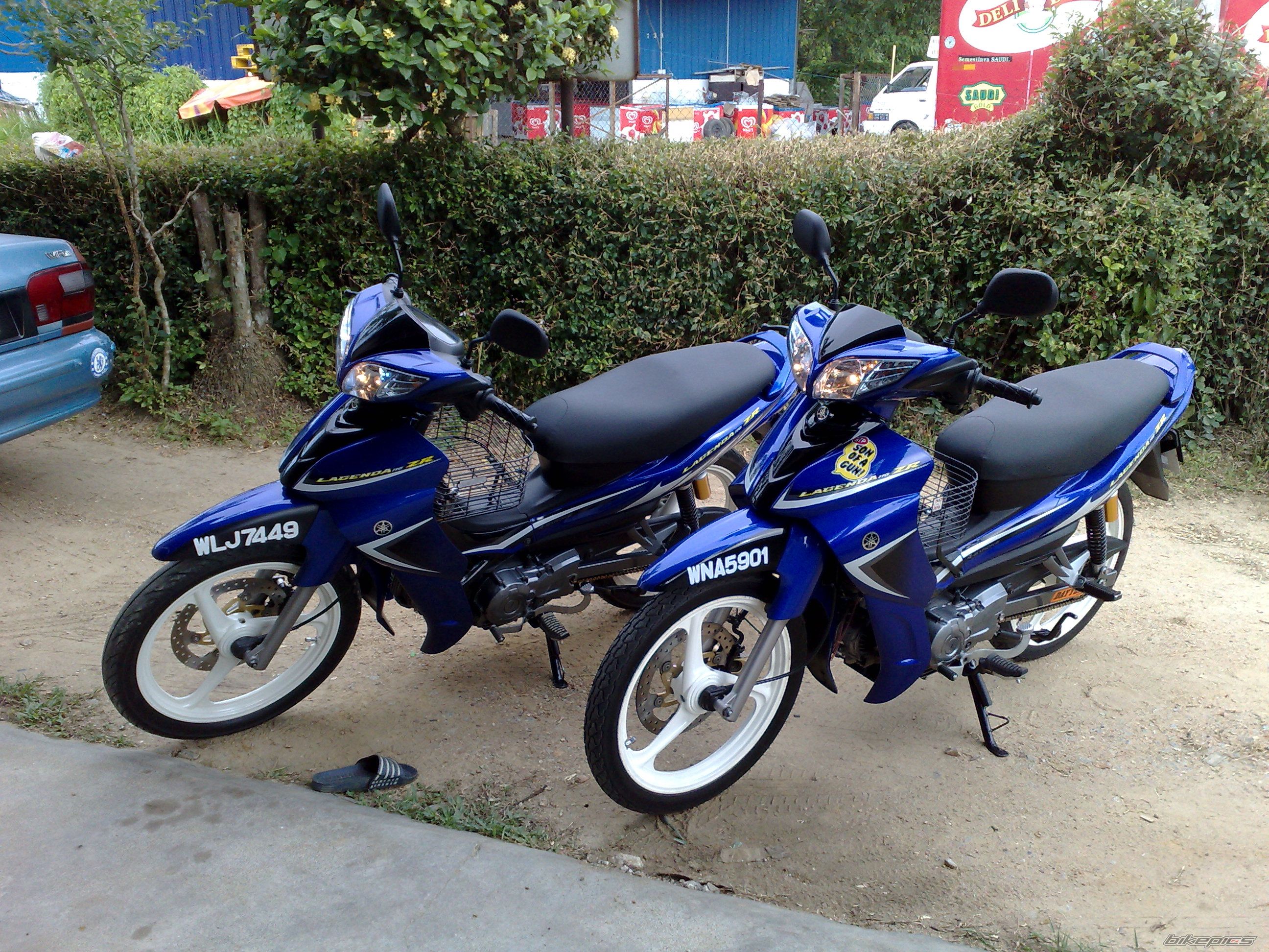 Photo 1641928