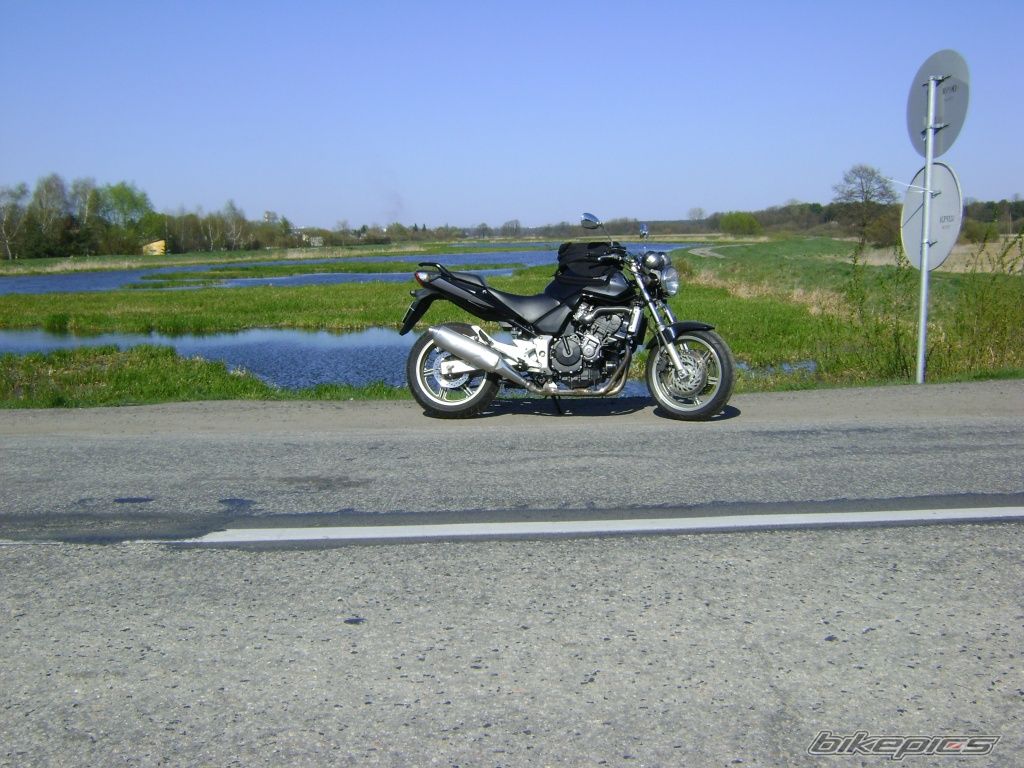 Photo 1642046