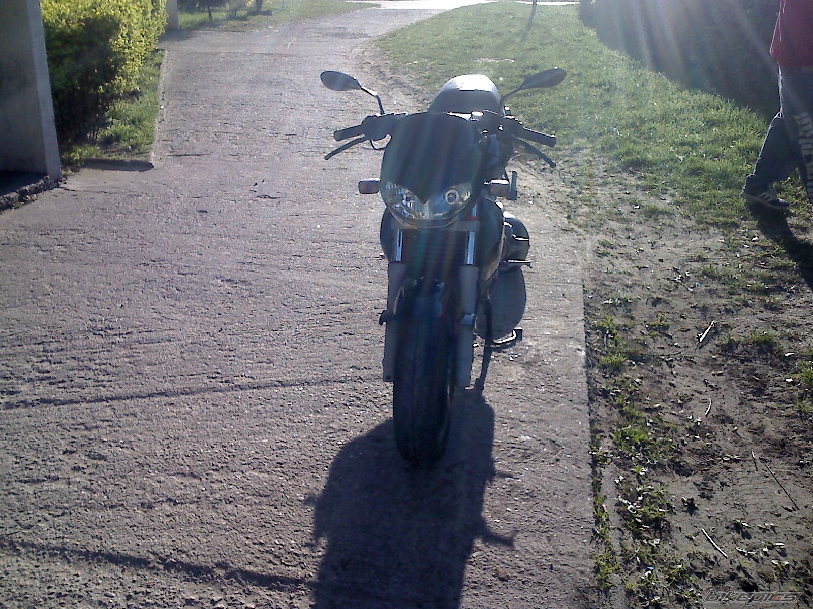 Photo 1642149