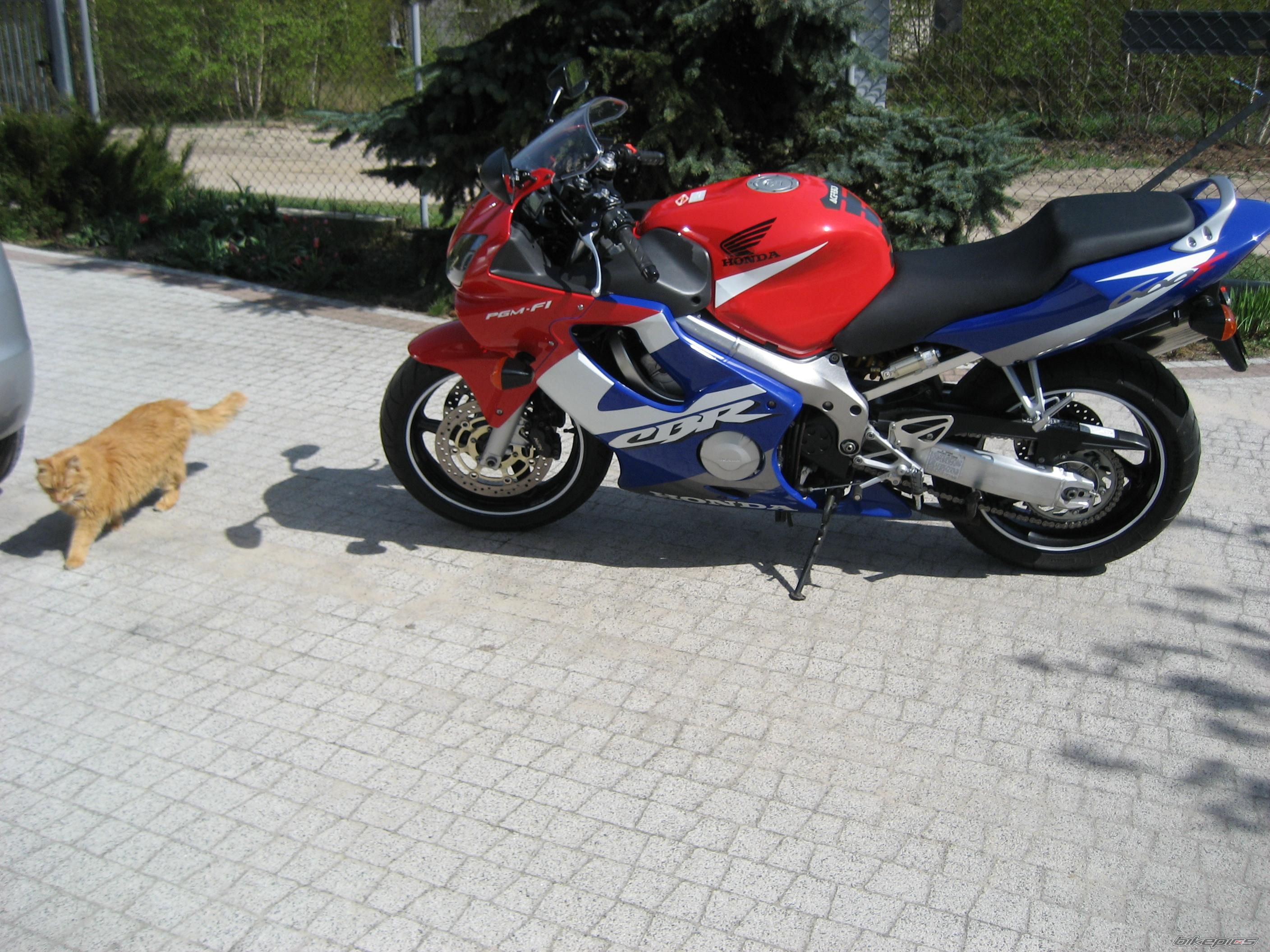 Photo 1642192