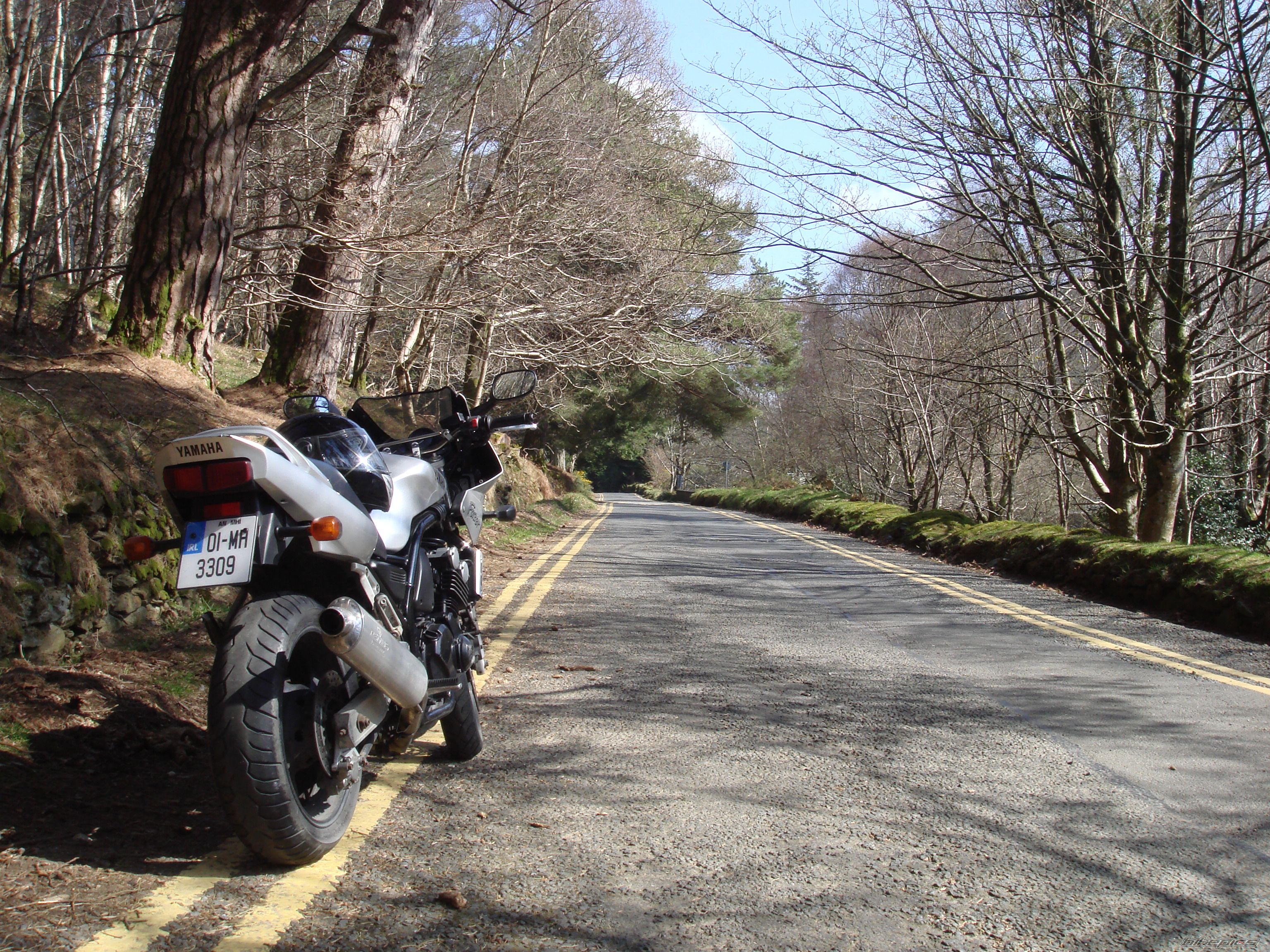Photo 1642205