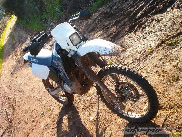 Photo 164222