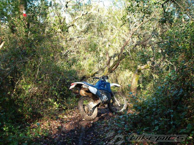 Photo 164225