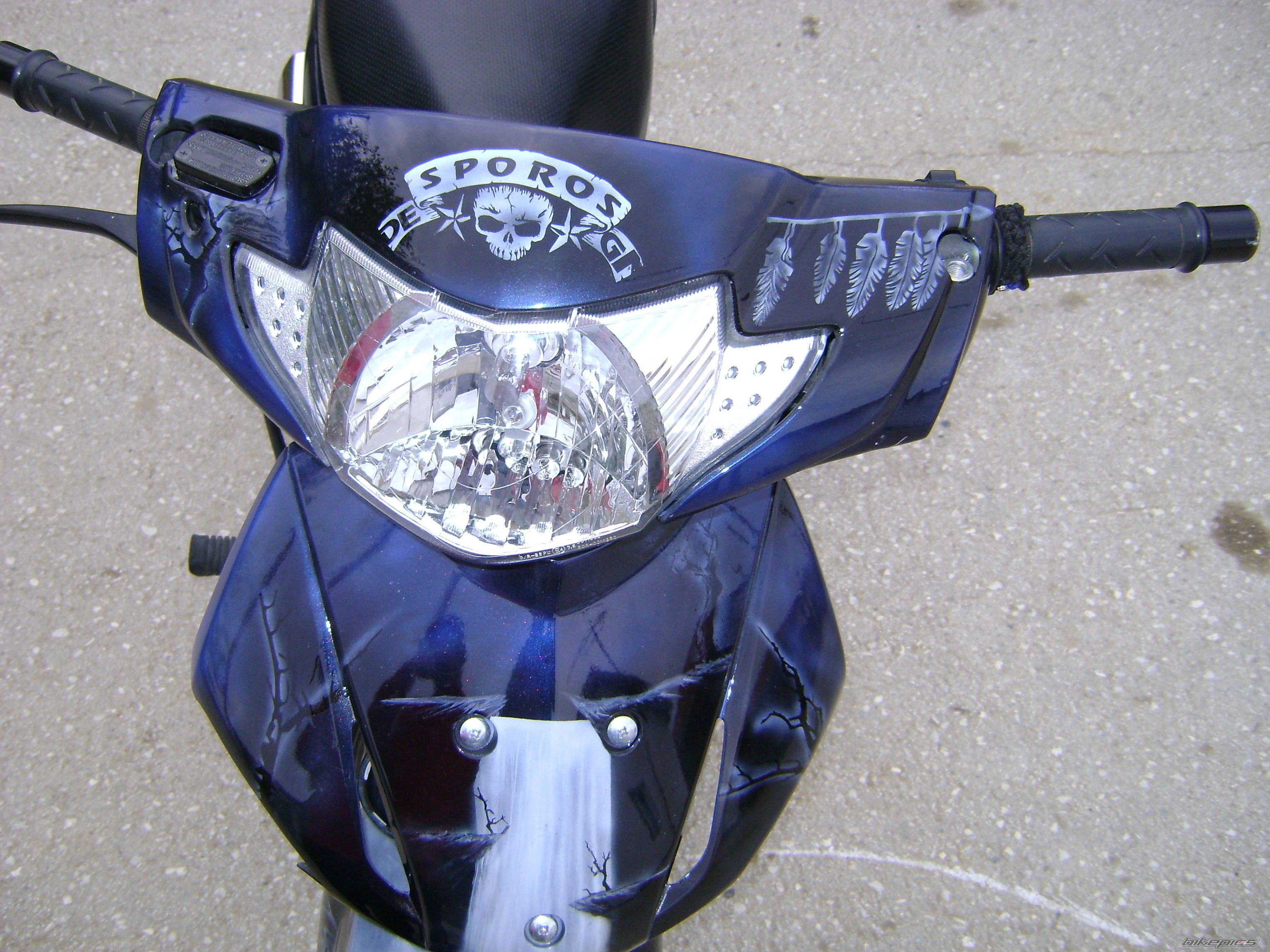 Photo 1642259