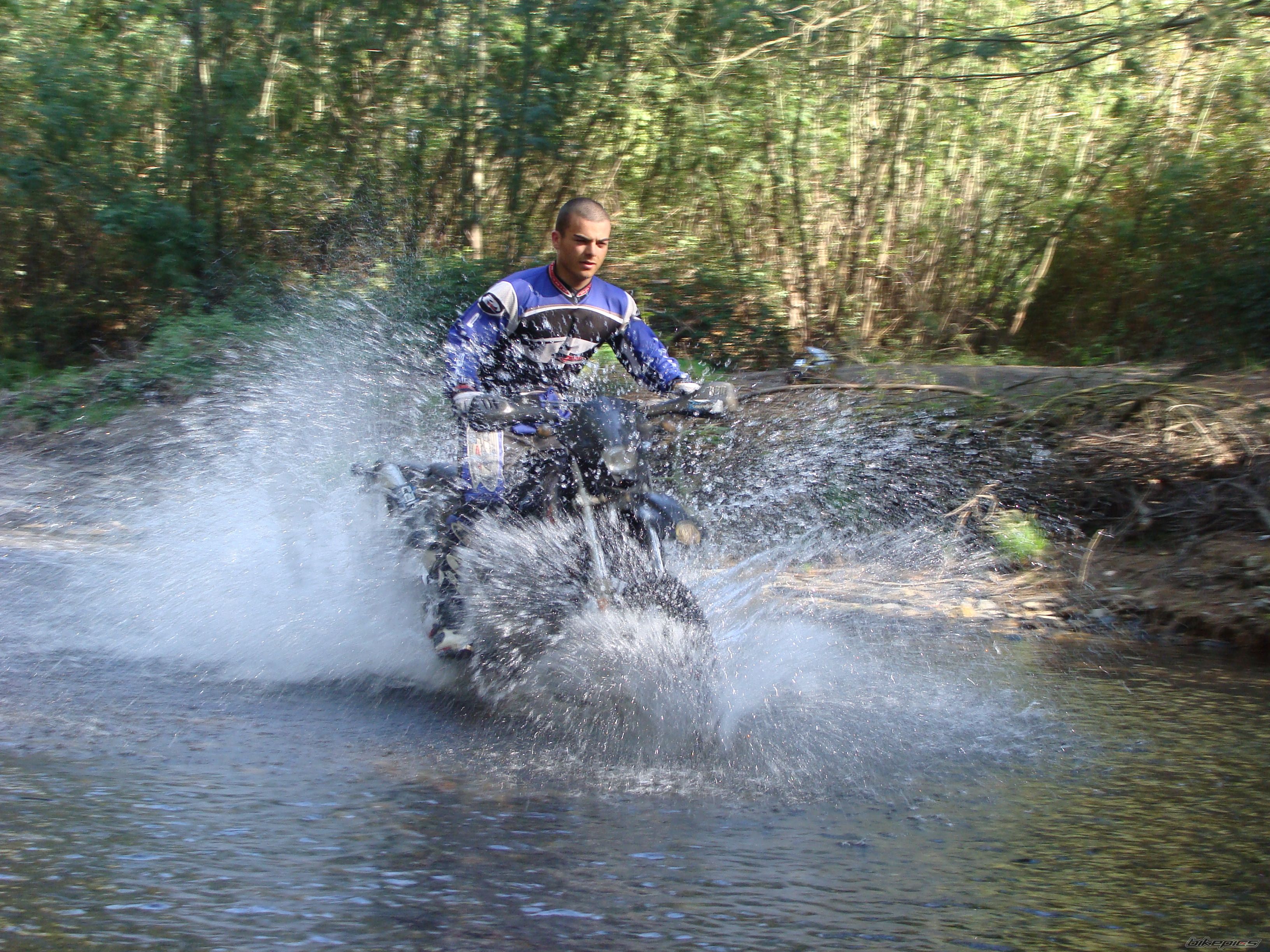 Photo 1642271