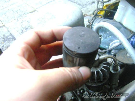 Photo 1642291