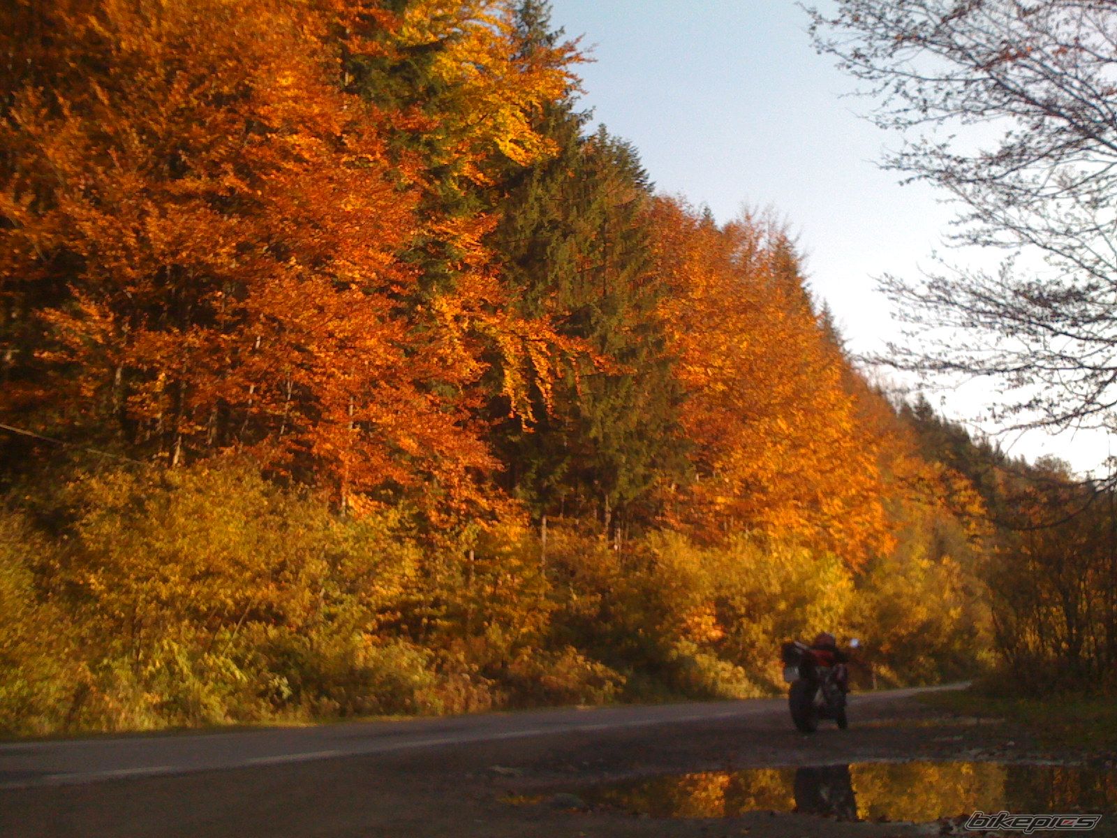 Bike Photo 1642355