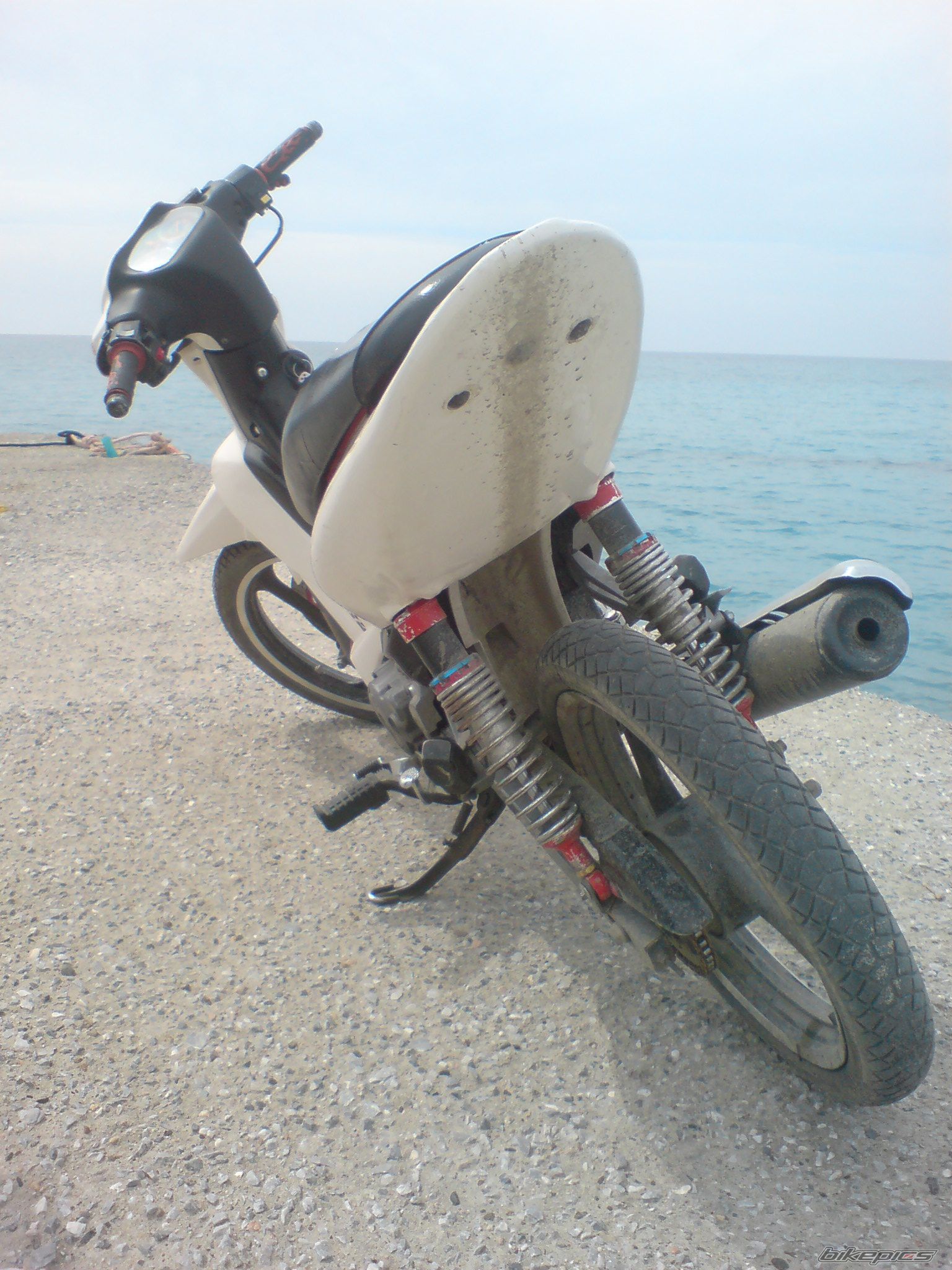 Photo 1642386