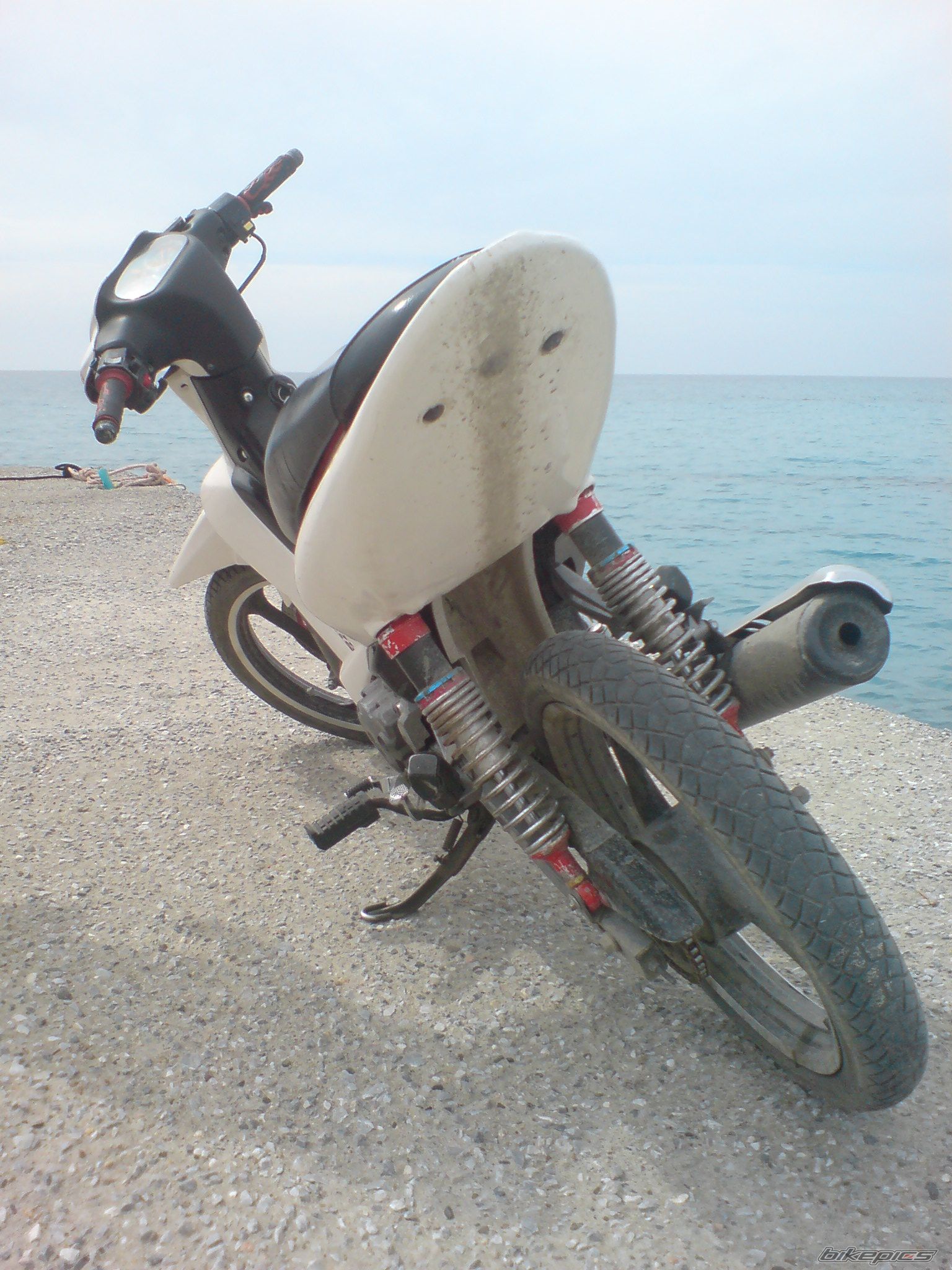 Photo 1642398