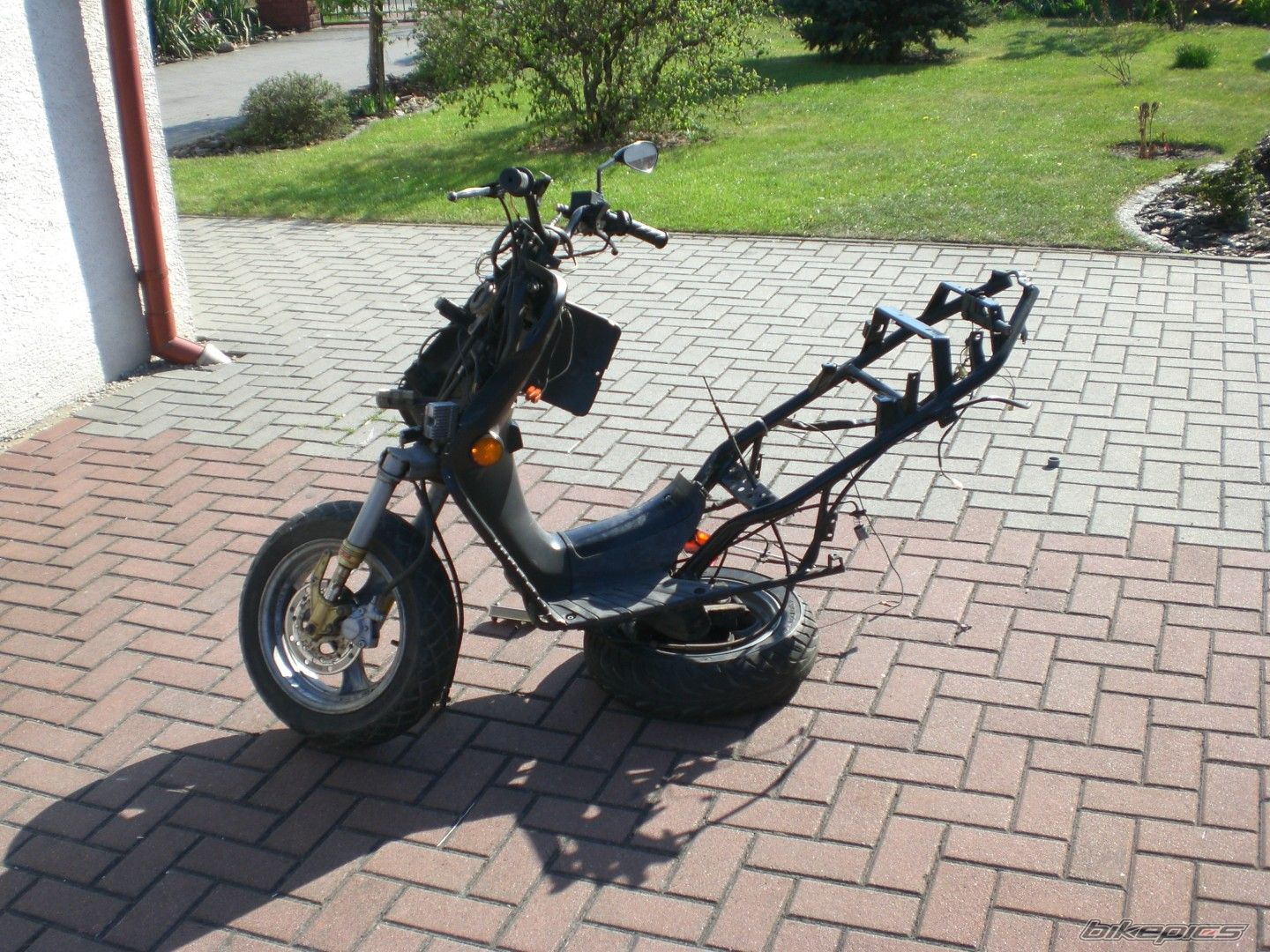 Photo 1642412
