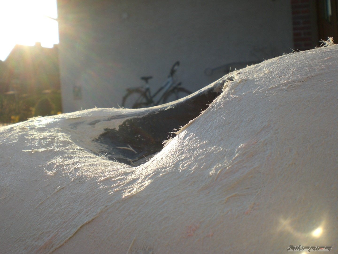 Photo 1642427