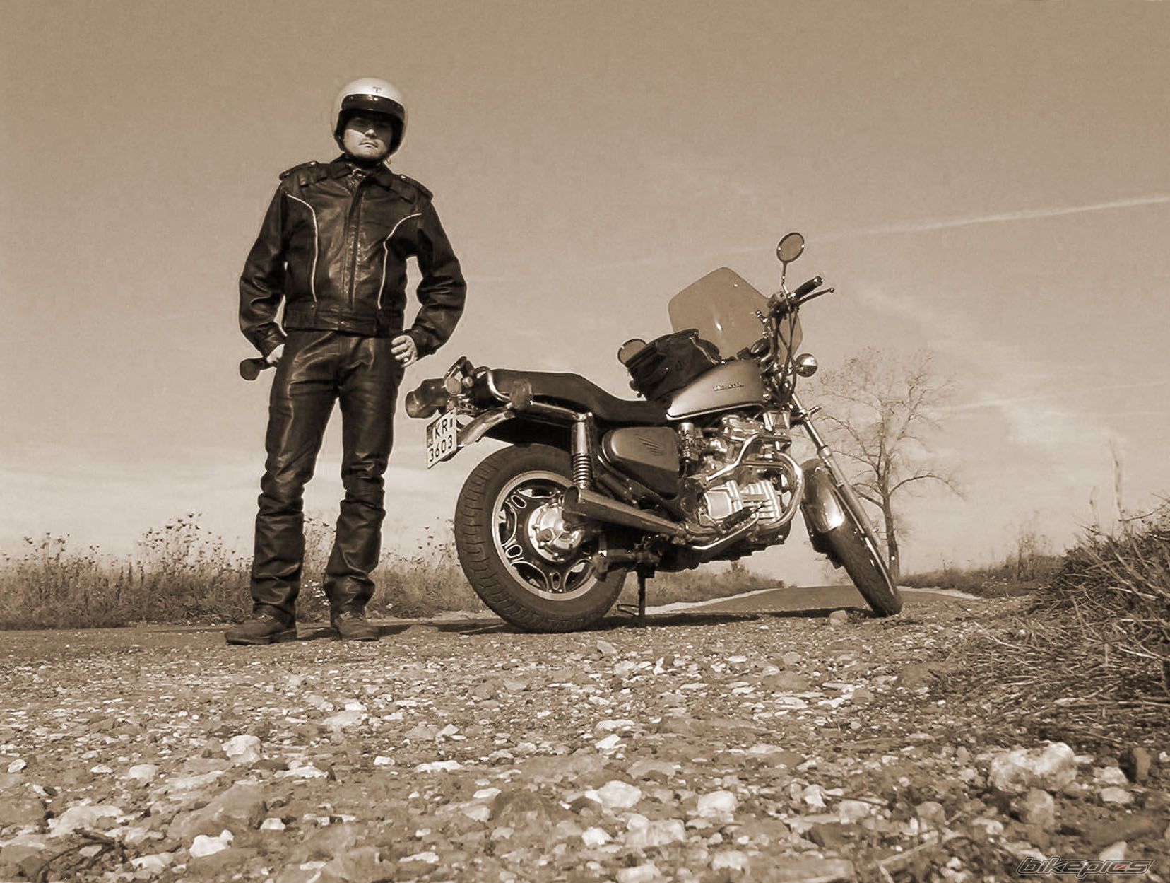 Photo 1642449
