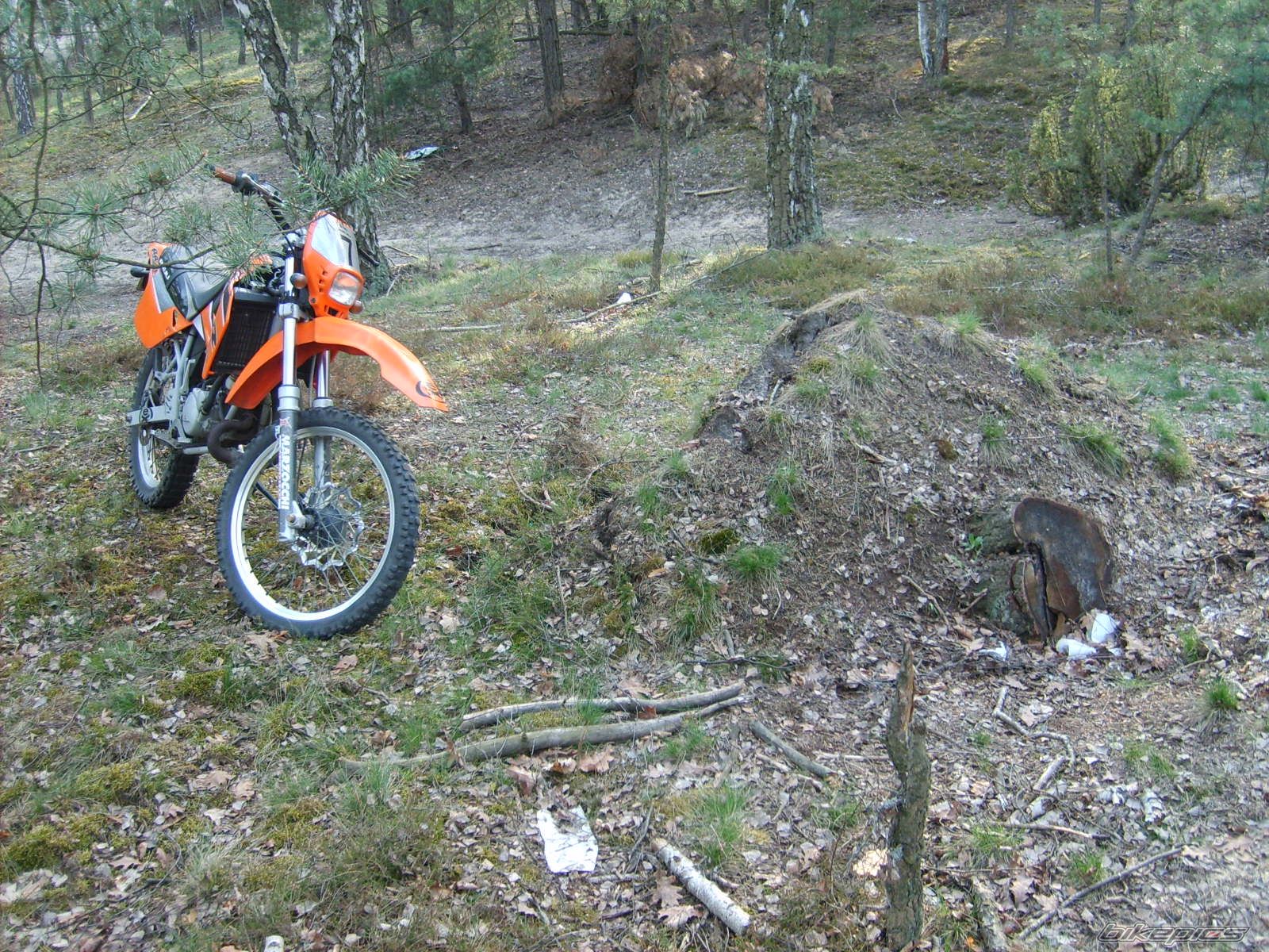 Photo 1642461
