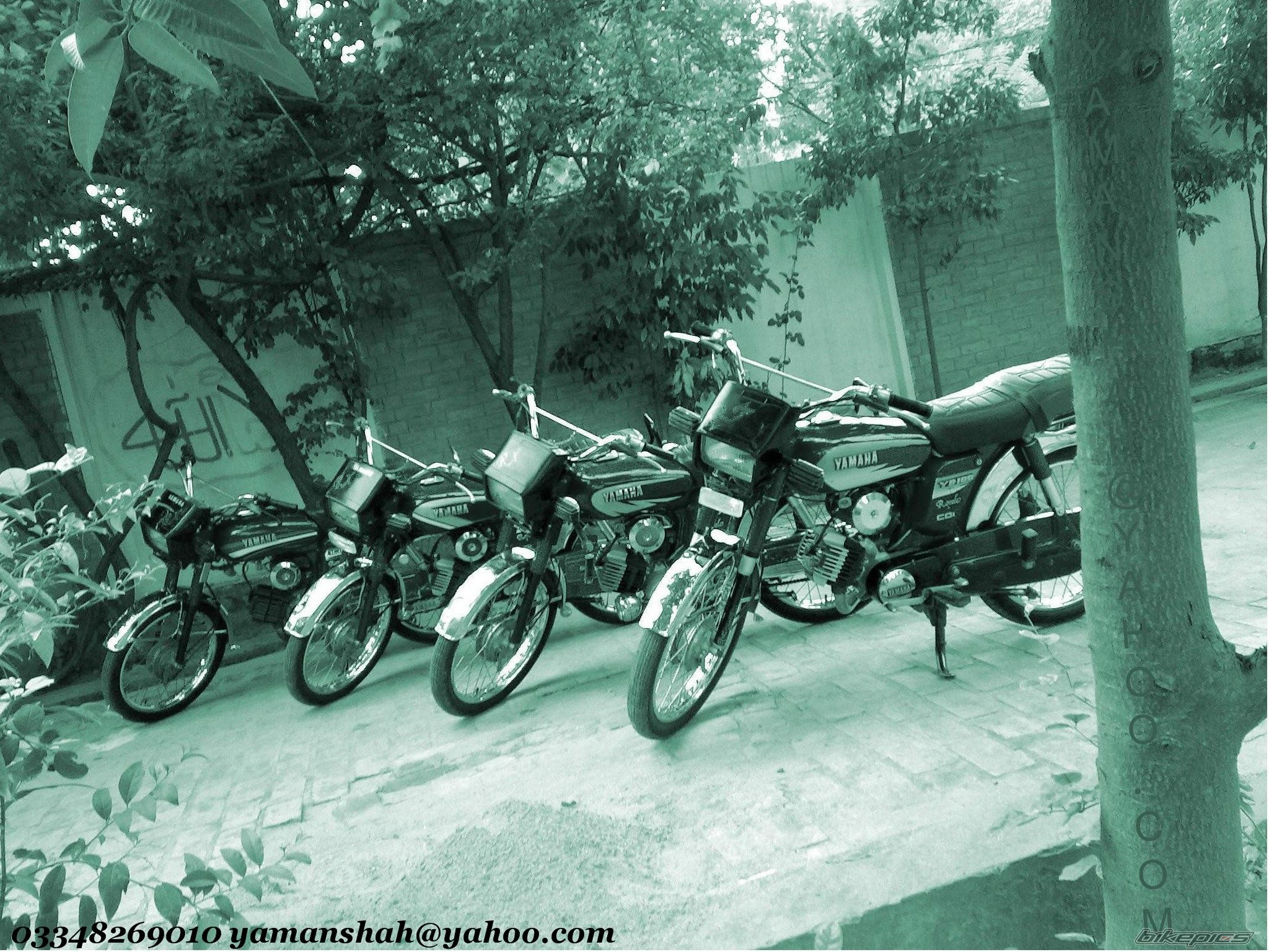 Photo 1642639