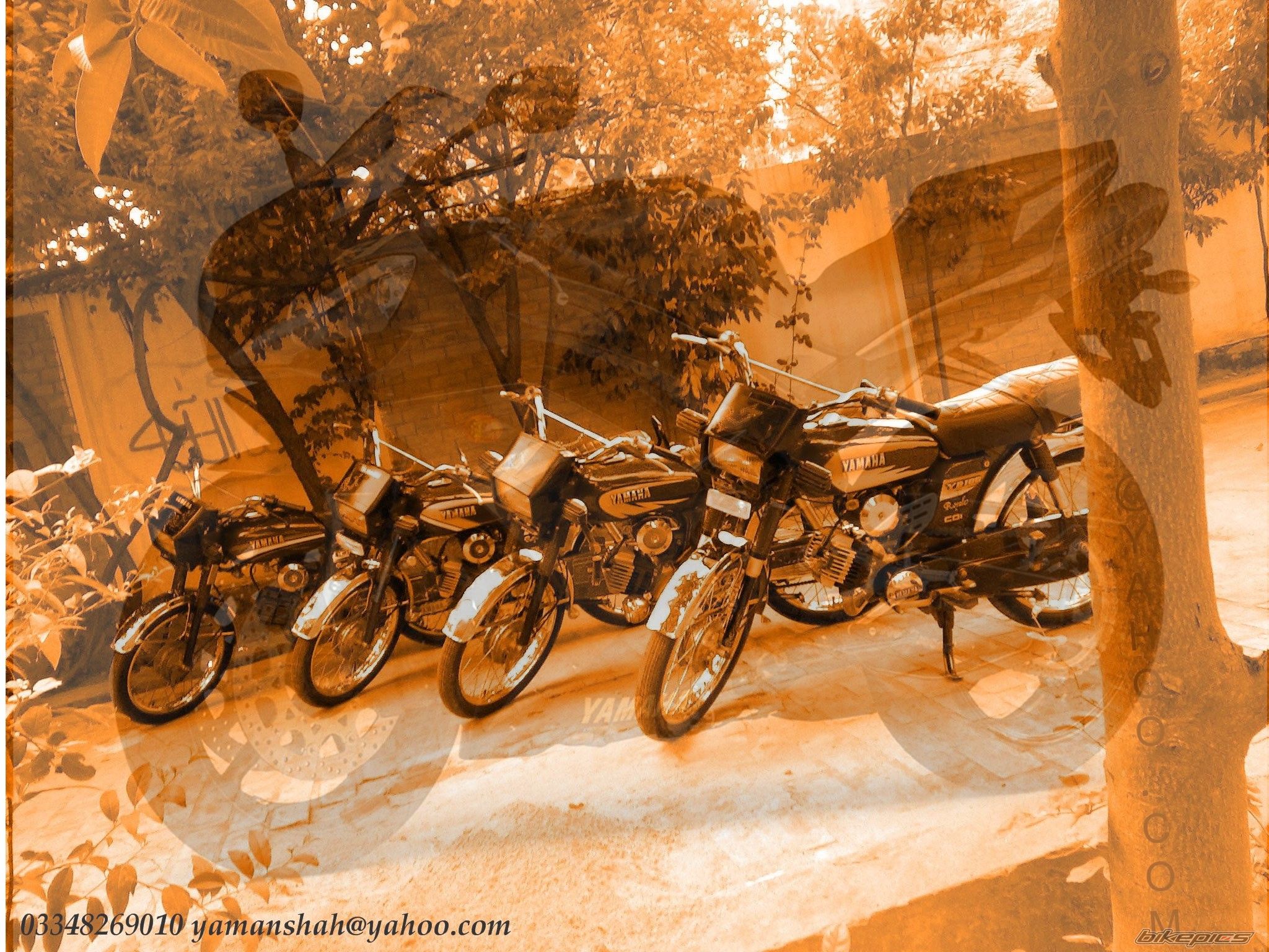 Photo 1642642